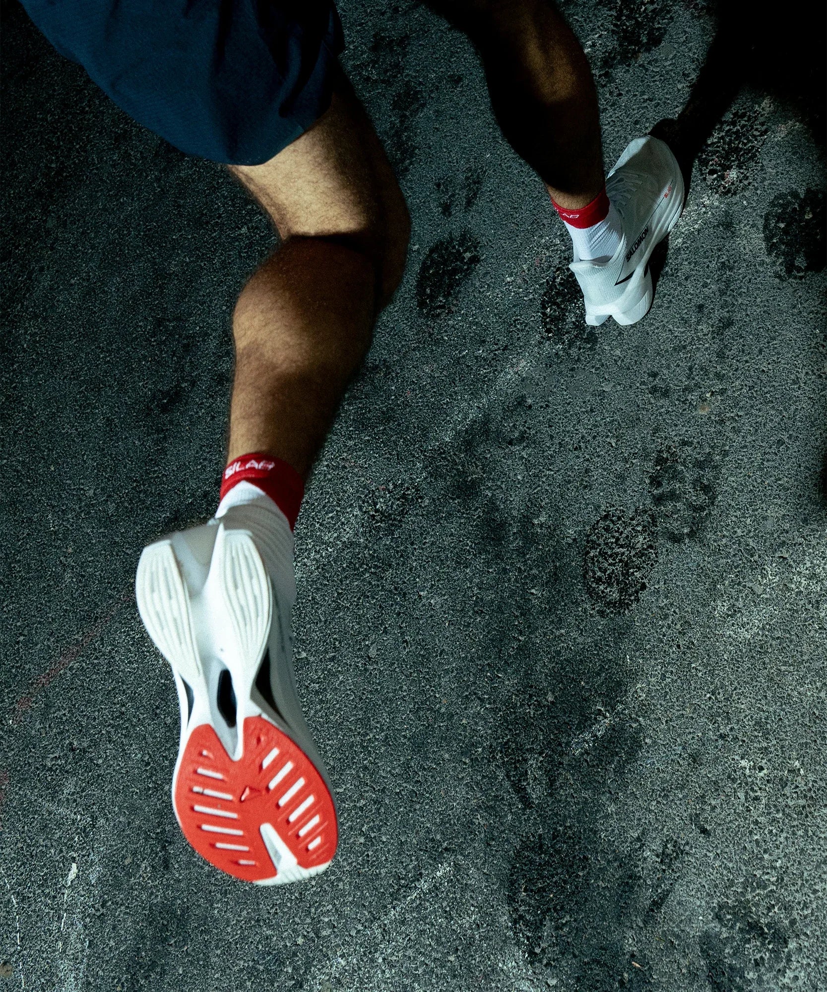 S/LAB SPECTUR - Chillpaw