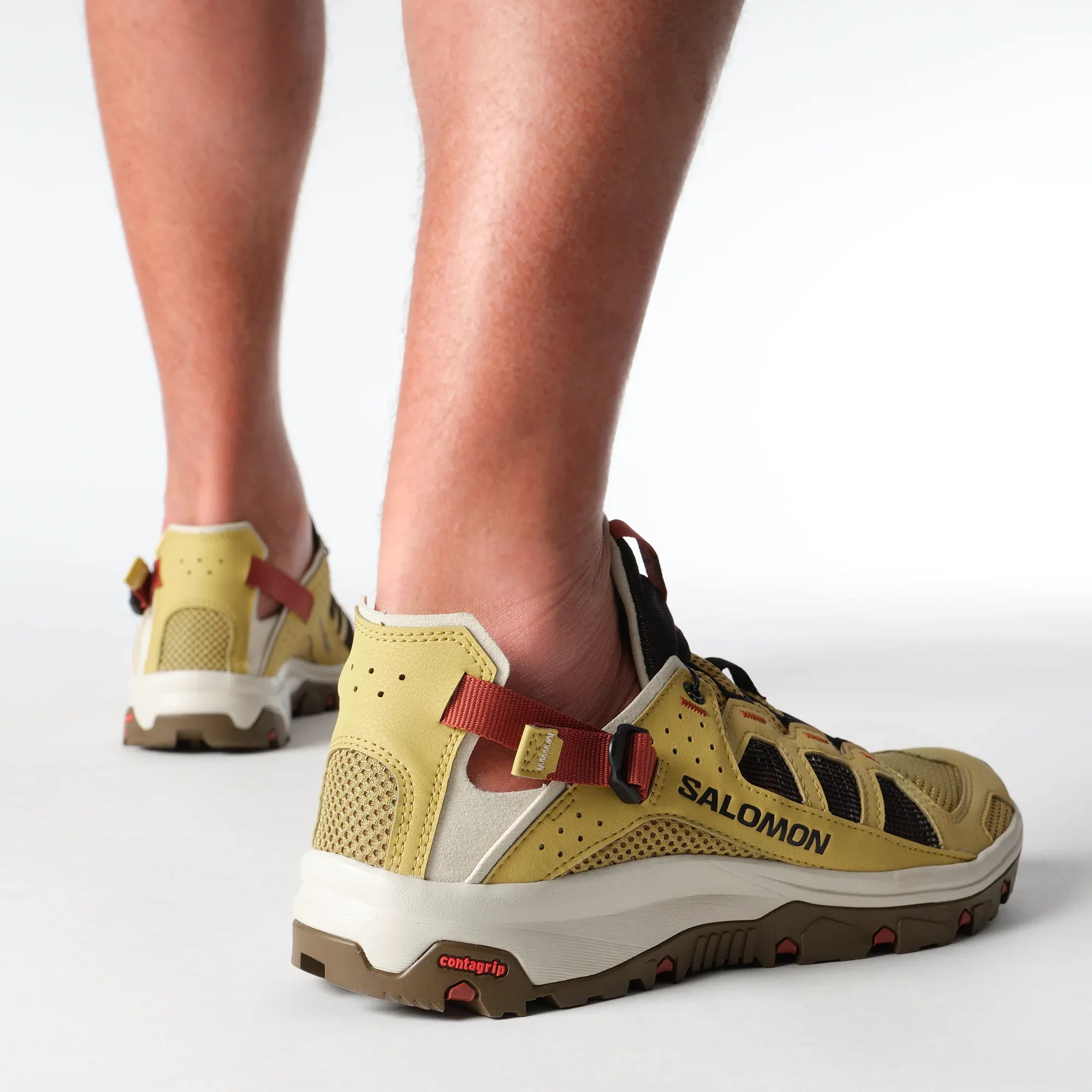 TECHAMPHIBIAN 5 - Chillpaw