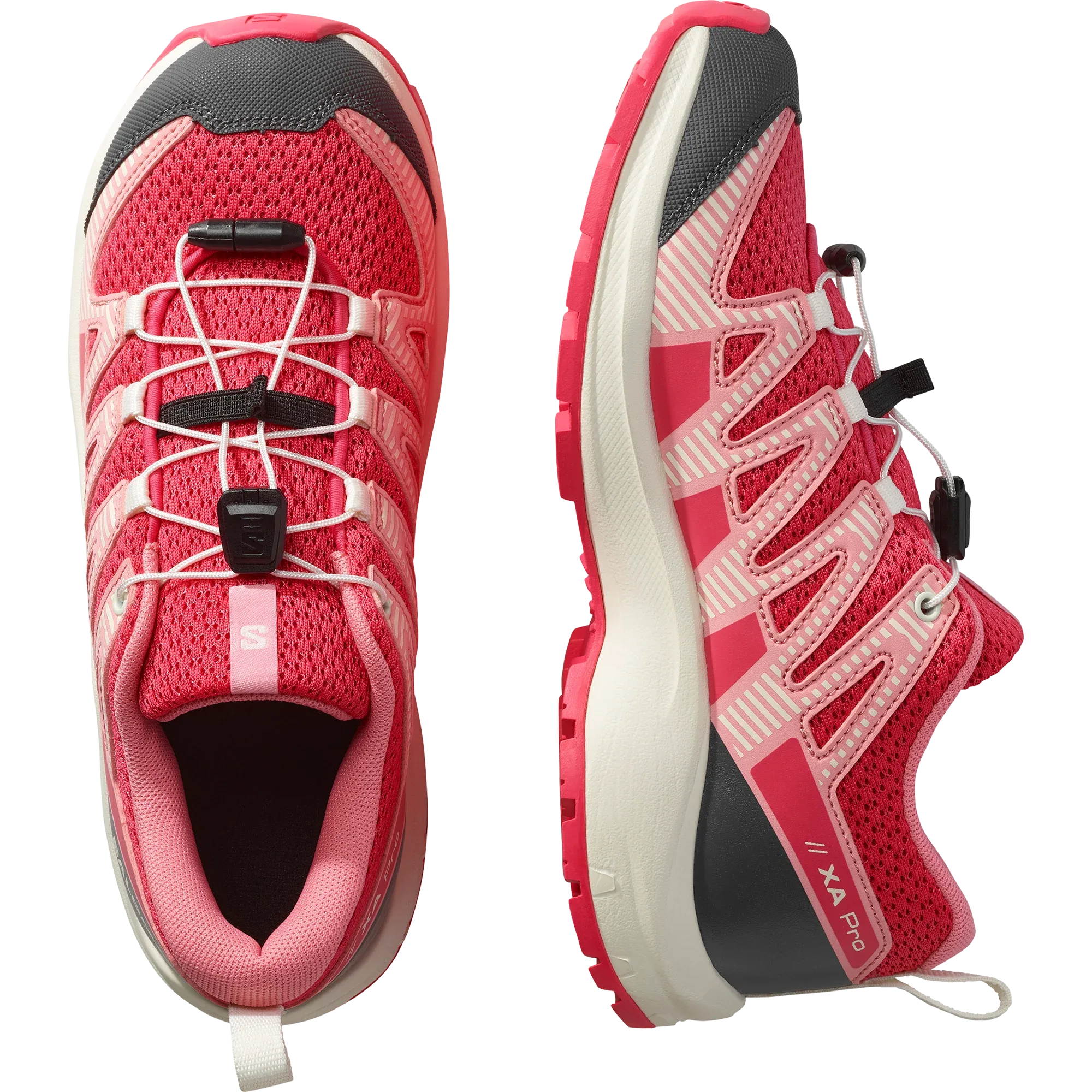 XA PRO V8 - Chillpaw