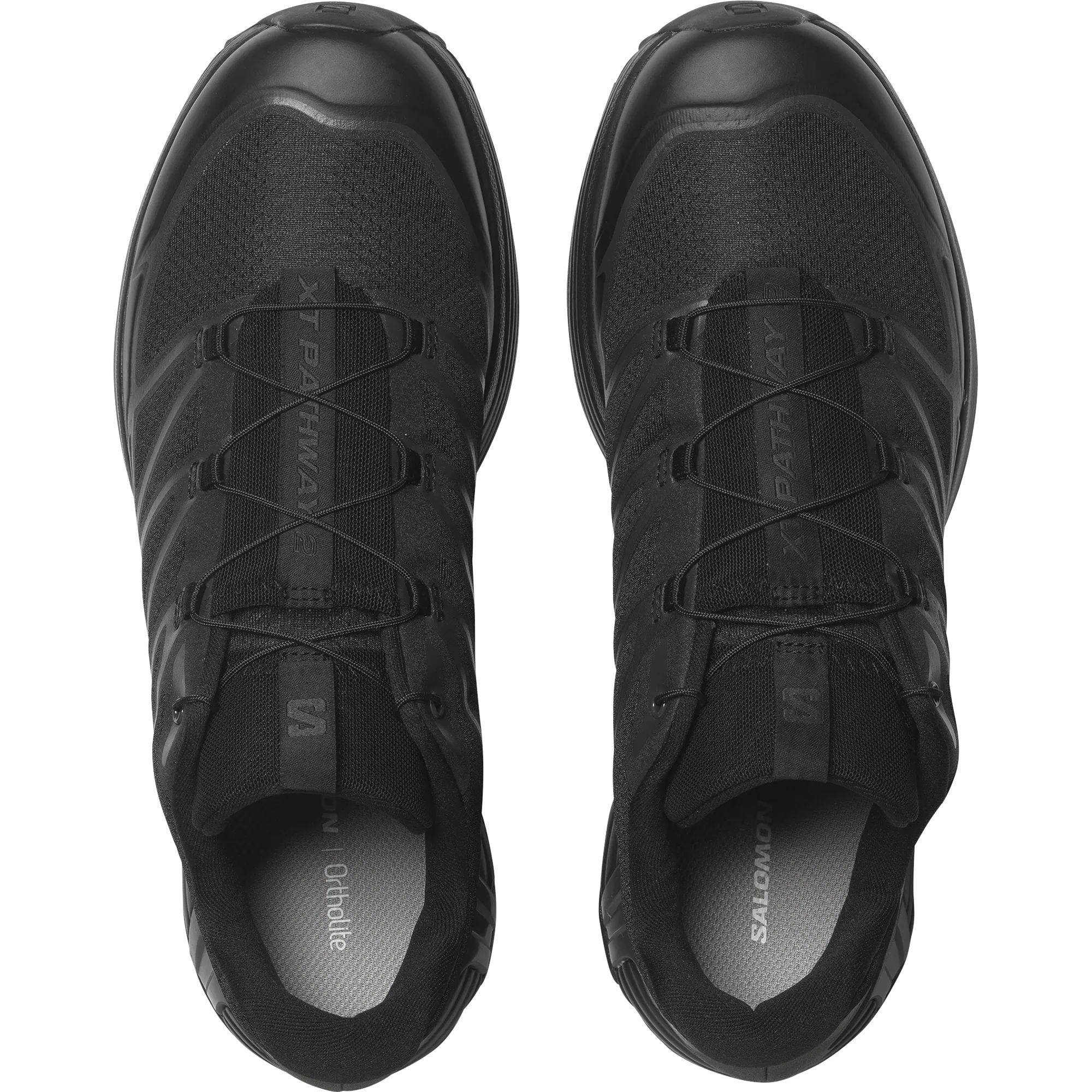 XT-PATHWAY 2 - Chillpaw