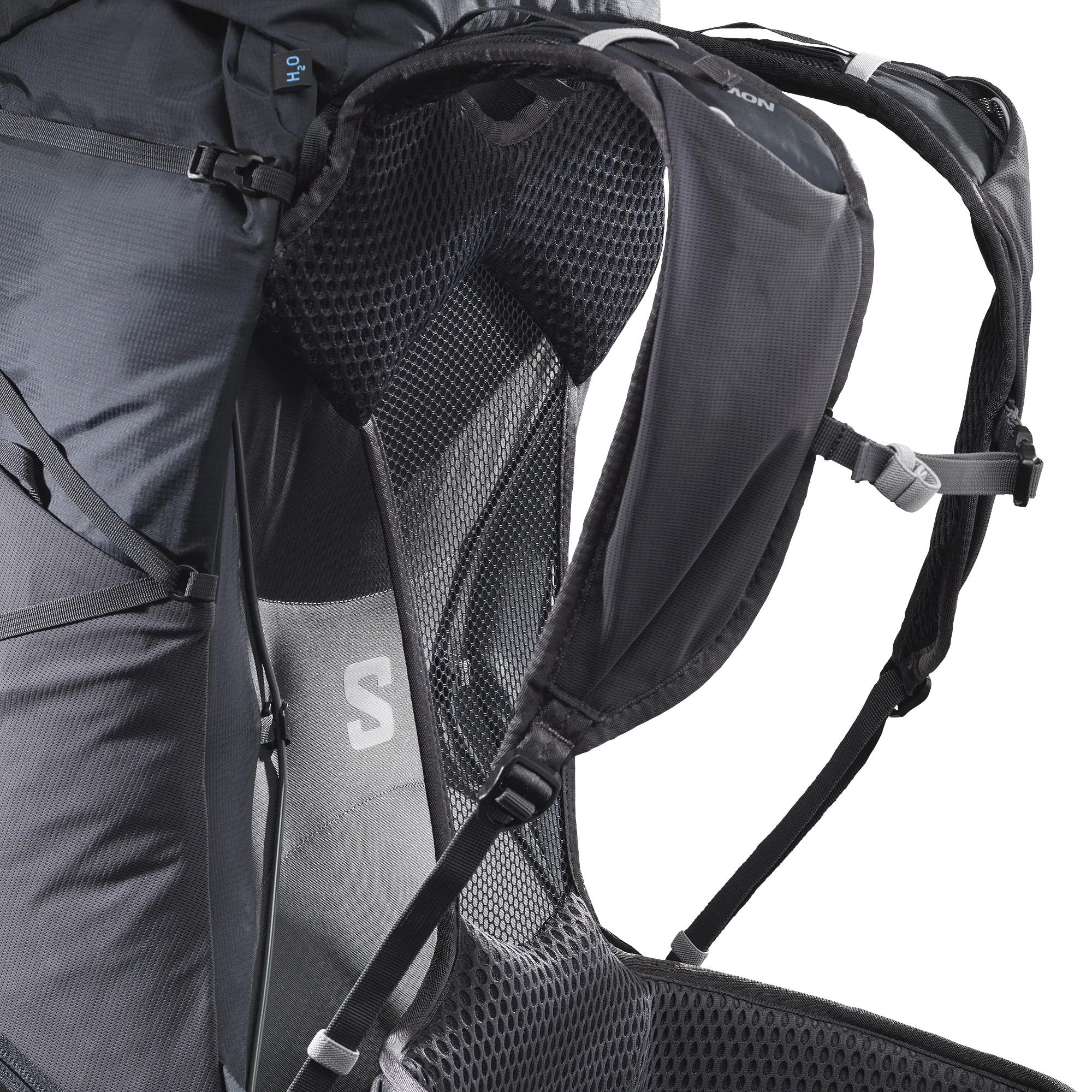 AEROTREK 50 - Chillpaw