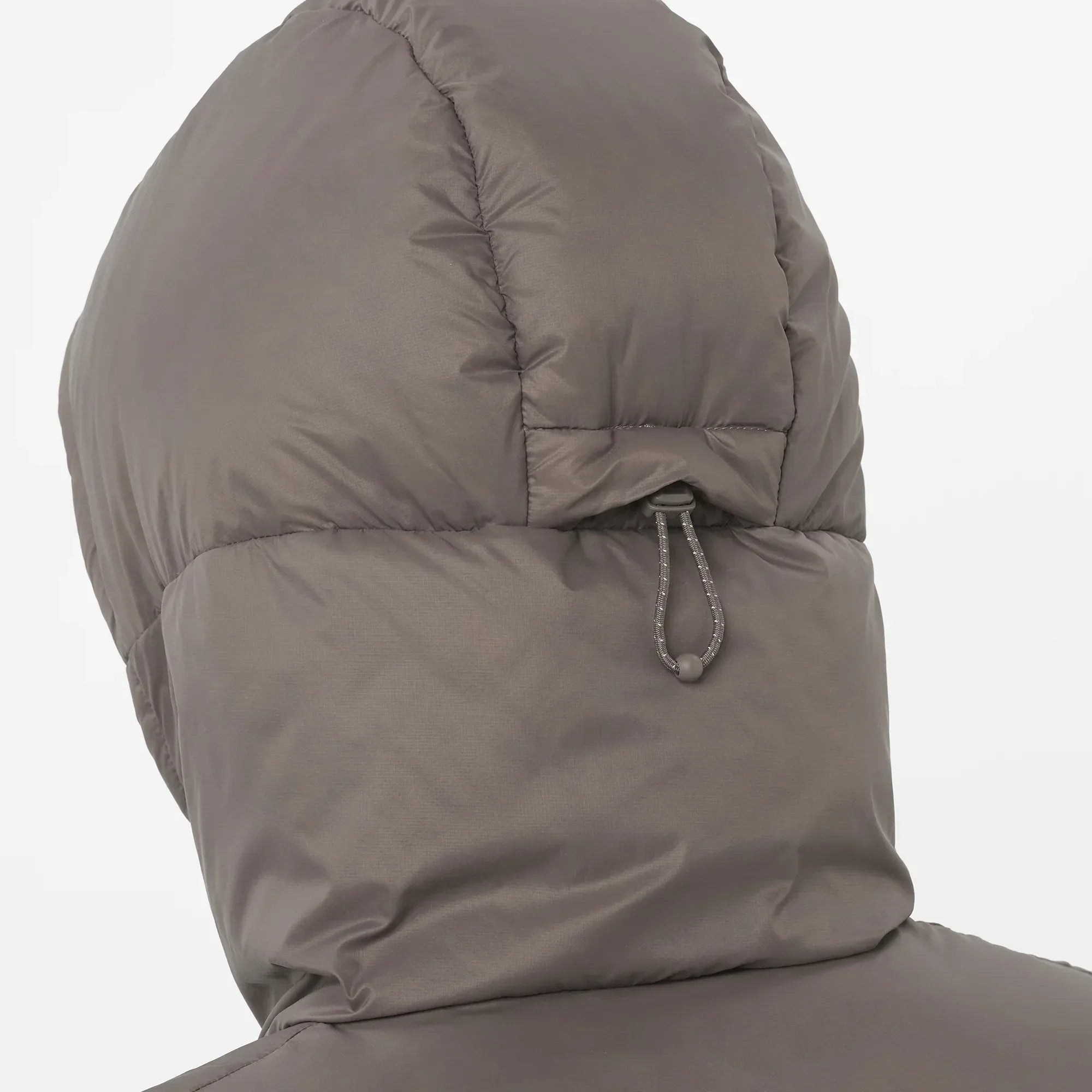 OUTLINE NOVELTY CROPPED DOWN - Chillpaw