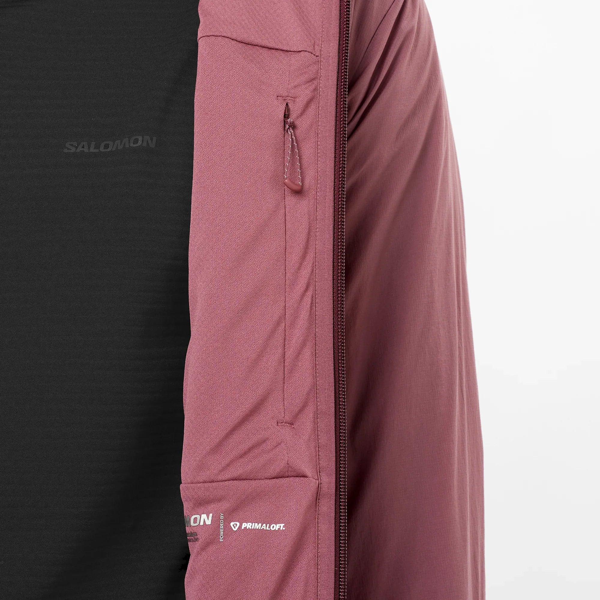 MOUNTAIN FLEX - Chillpaw