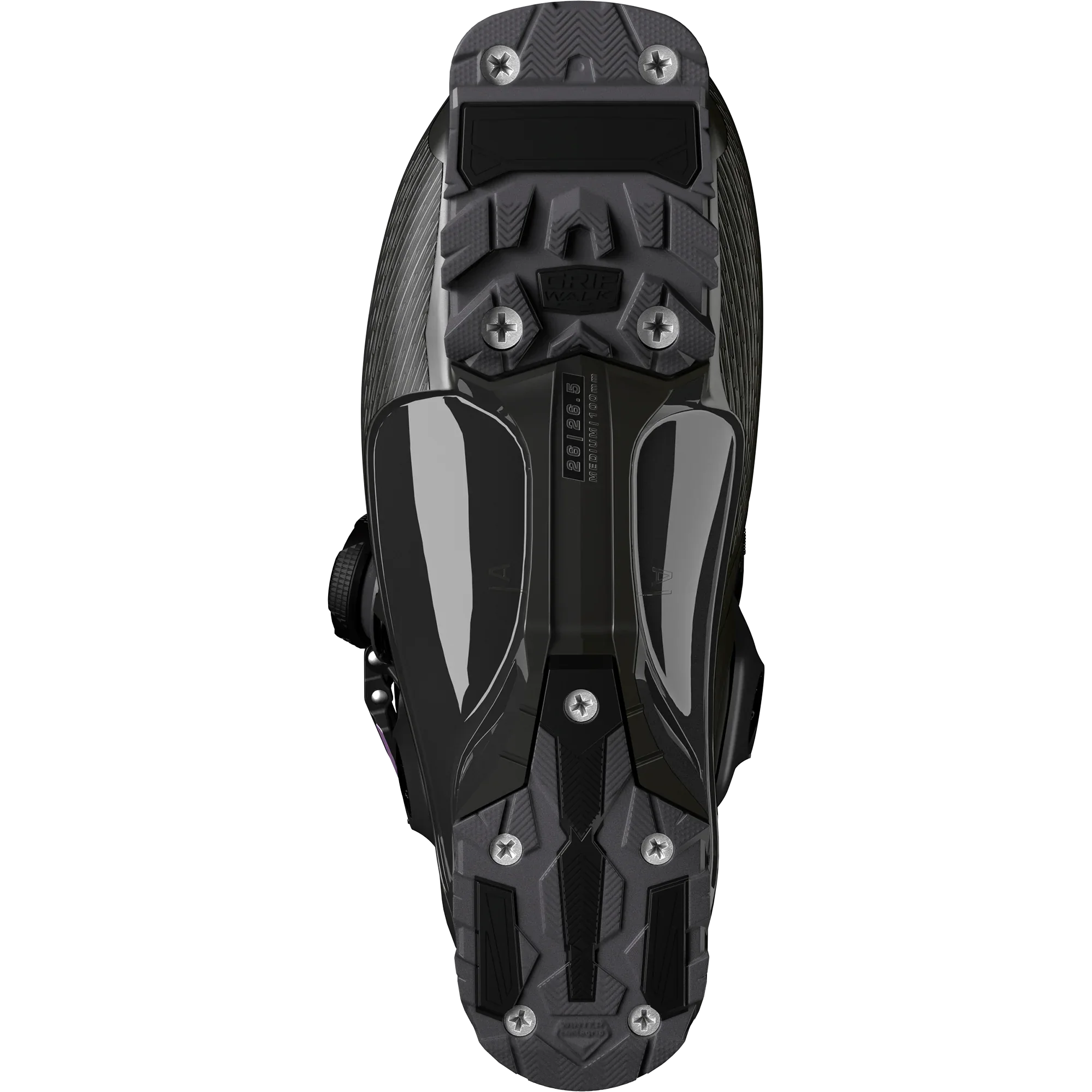 S/PRO SUPRA BOA® 100 - Chillpaw