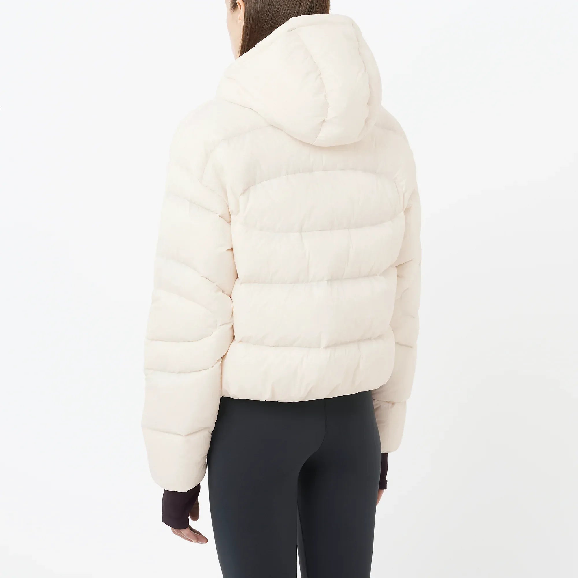 OUTLINE NOVELTY CROPPED DOWN - Chillpaw