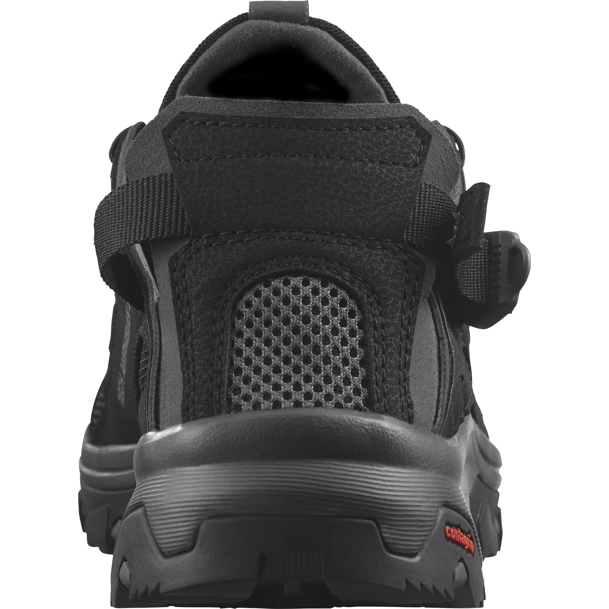 TECHAMPHIBIAN 5 - Chillpaw