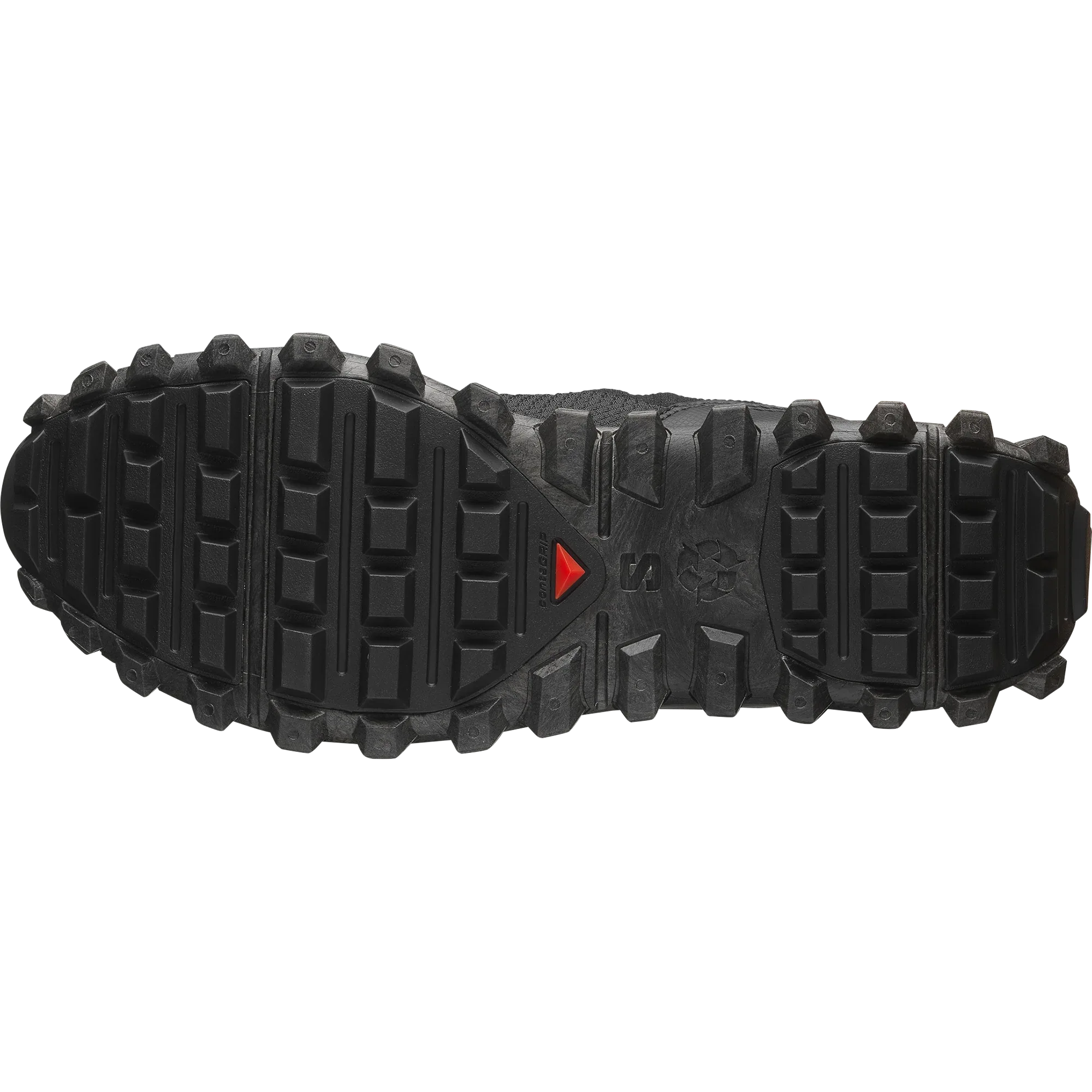 SNOWCLOG MID - Chillpaw