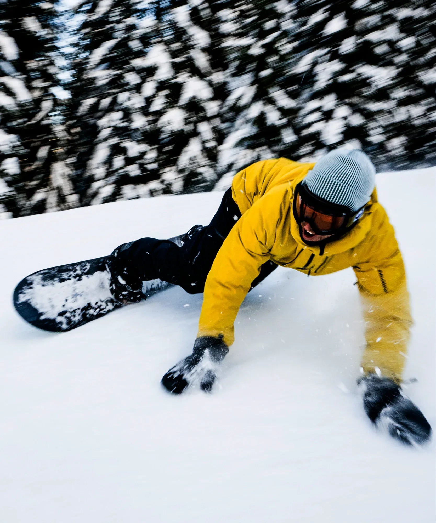 ABSOLUTE 3L - Chillpaw