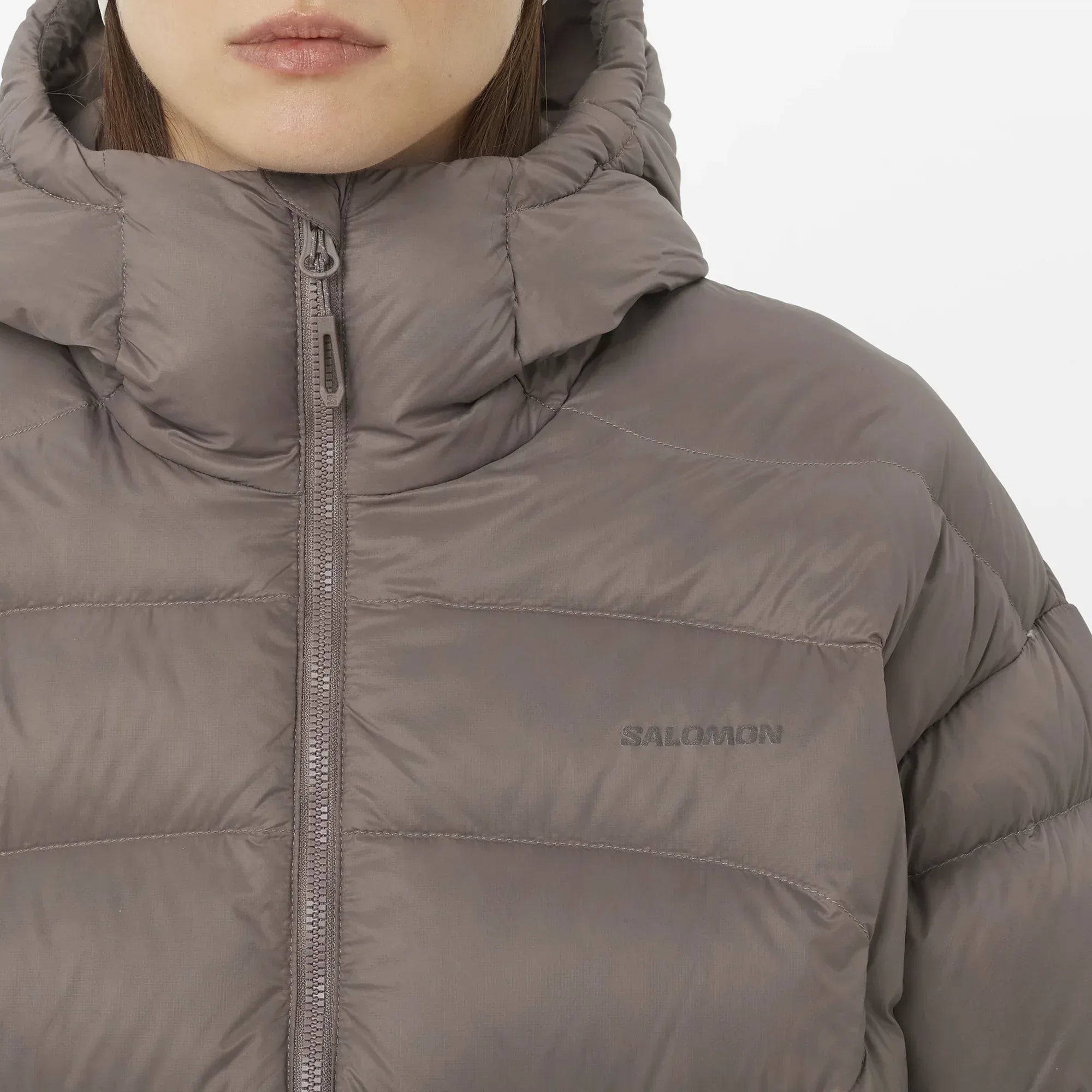 OUTLINE NOVELTY CROPPED DOWN - Chillpaw