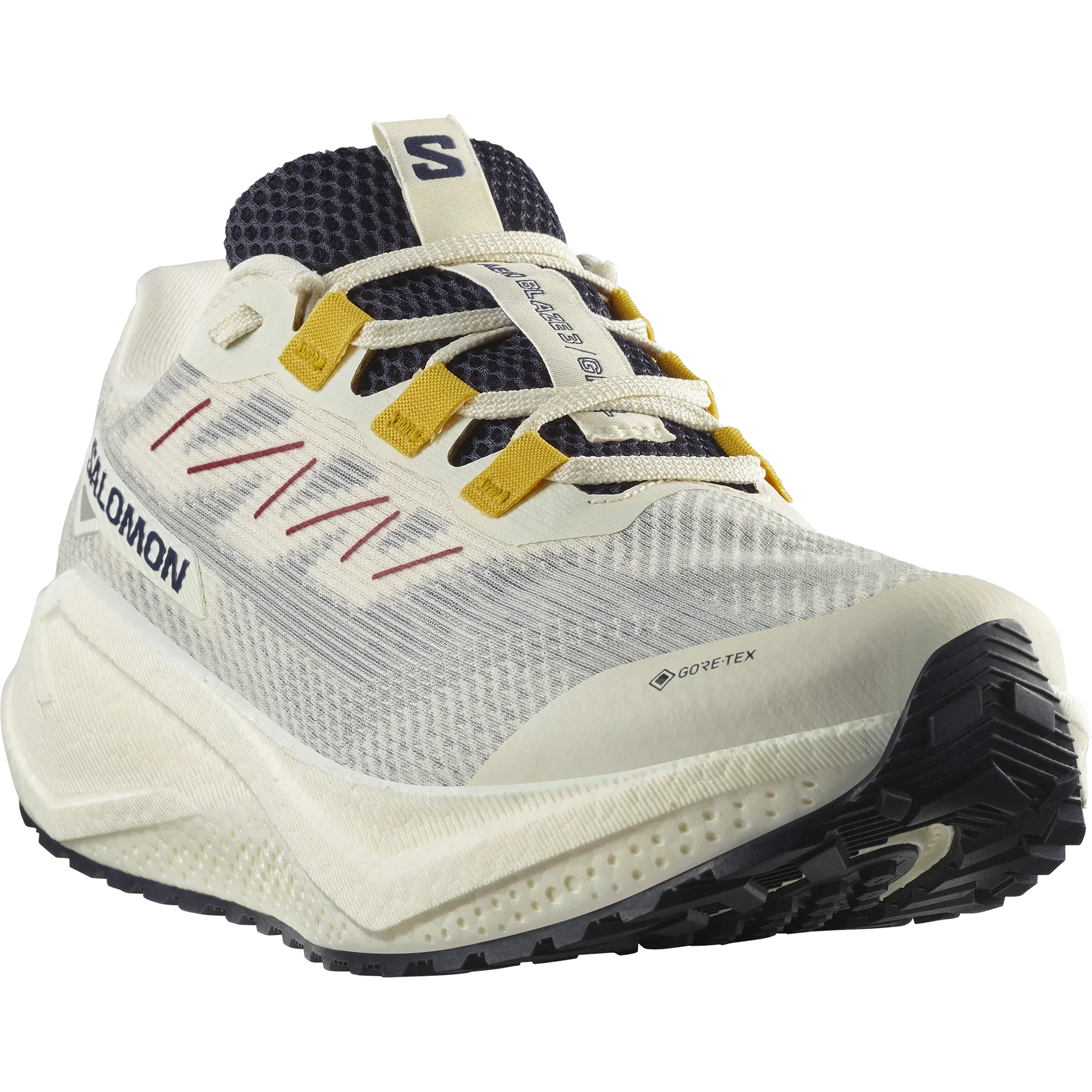 AERO BLAZE 3 GRVL GORE-TEX - Chillpaw