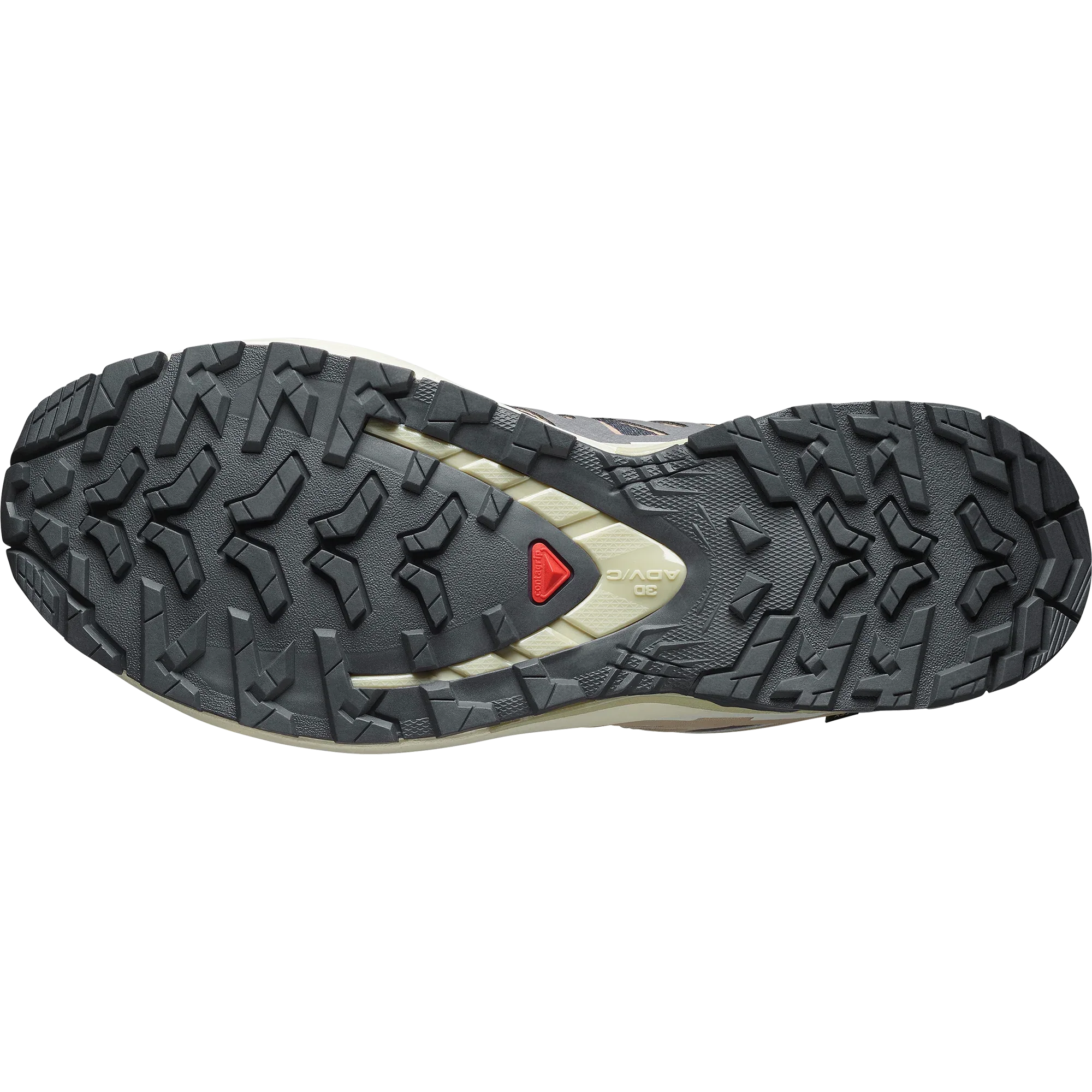 XA PRO 3D V9 GORE-TEX - Chillpaw