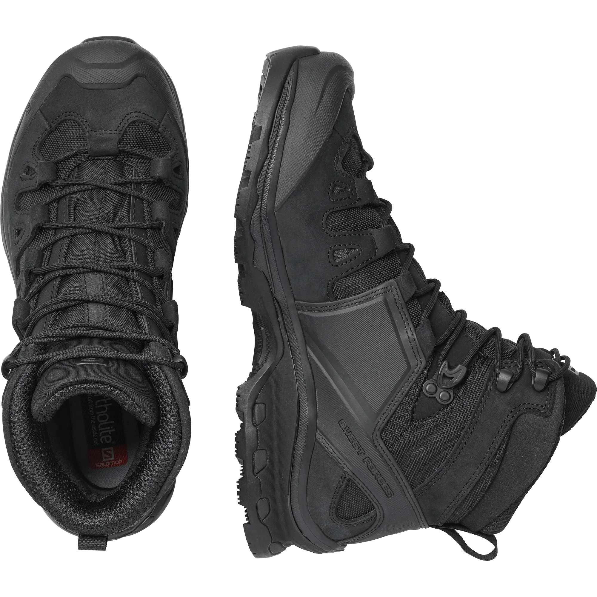 QUEST 4D FORCES 2 EN - Chillpaw