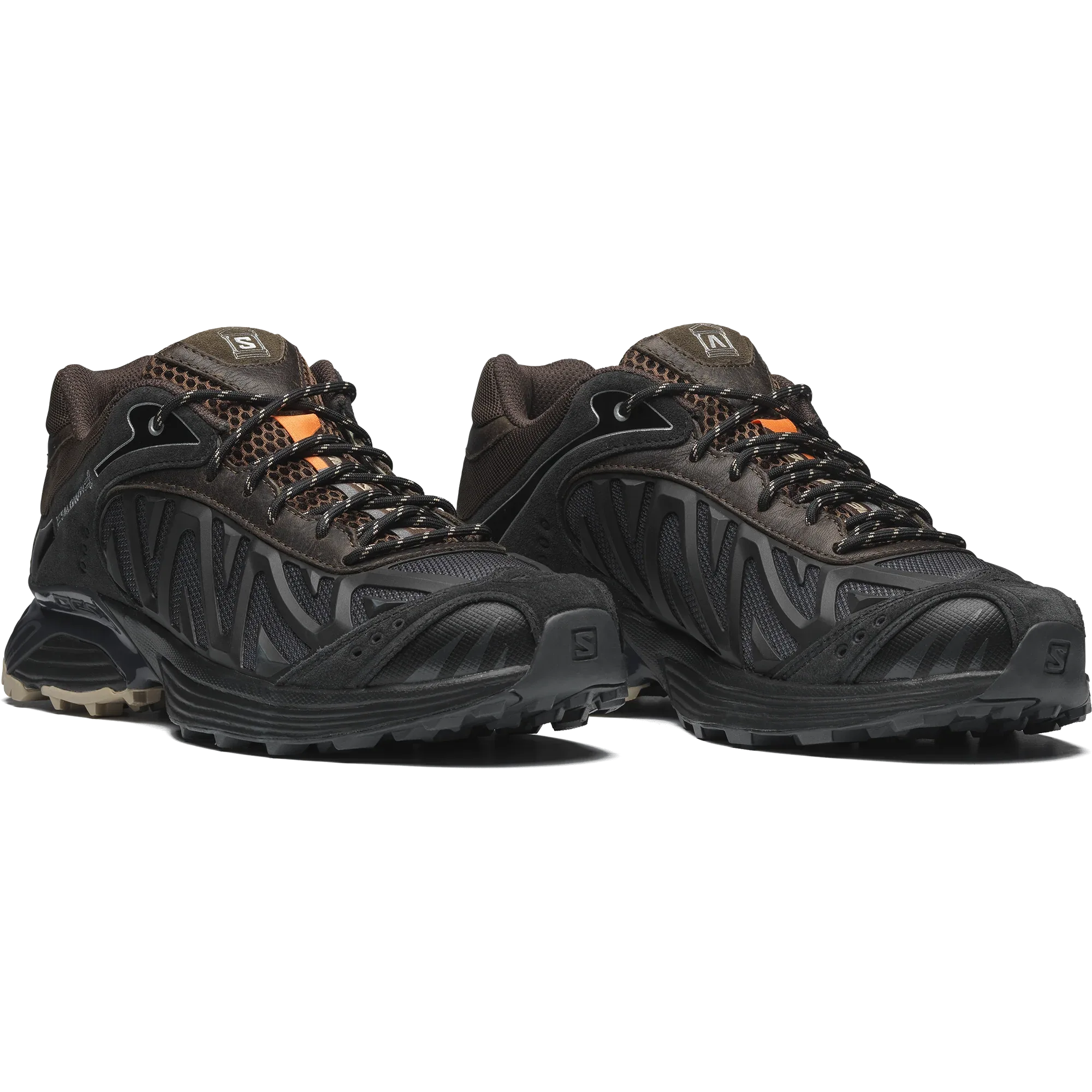 XT WHISPER ARIES - Chillpaw