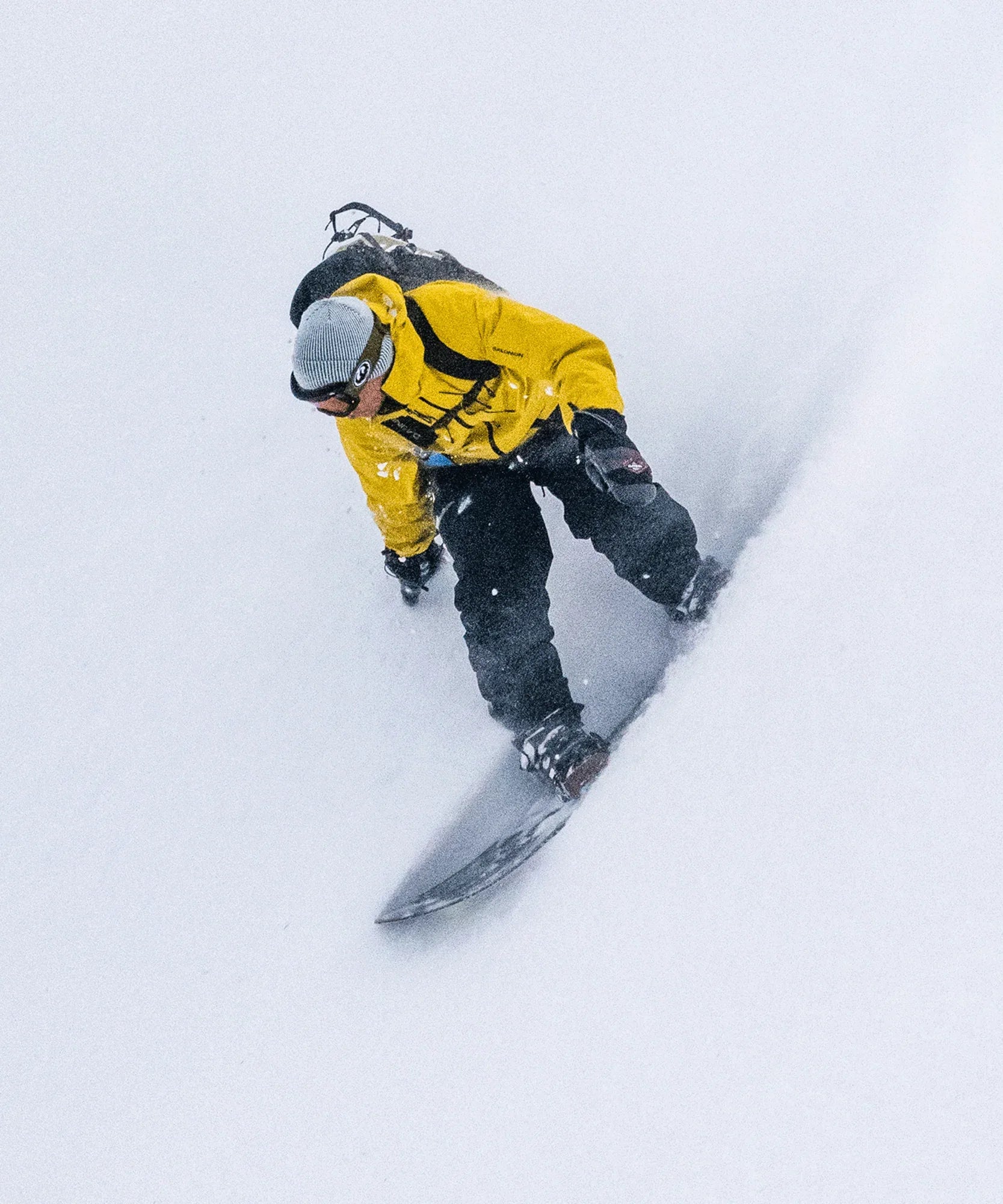 ABSOLUTE 3L - Chillpaw