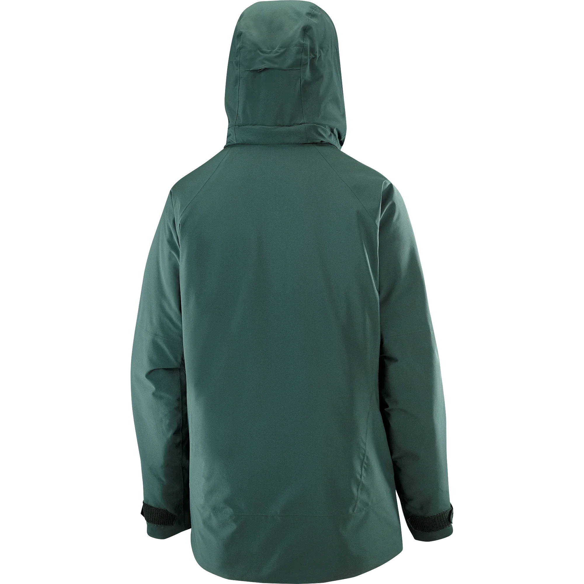 BRILLIANT - Chillpaw