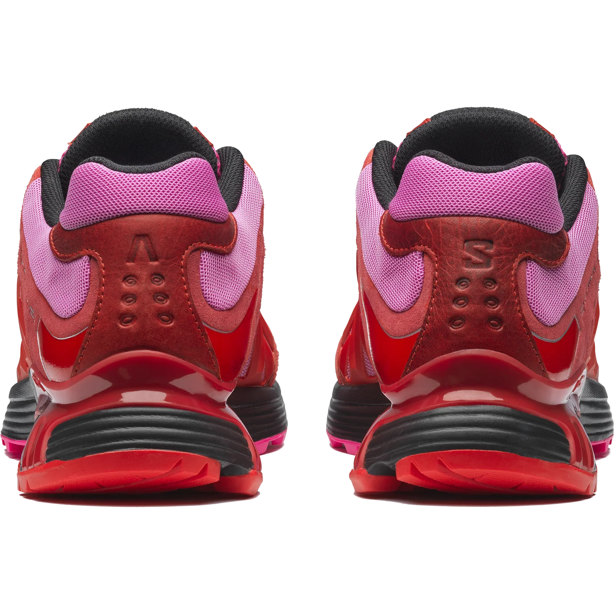 XT WHISPER ARIES - Chillpaw