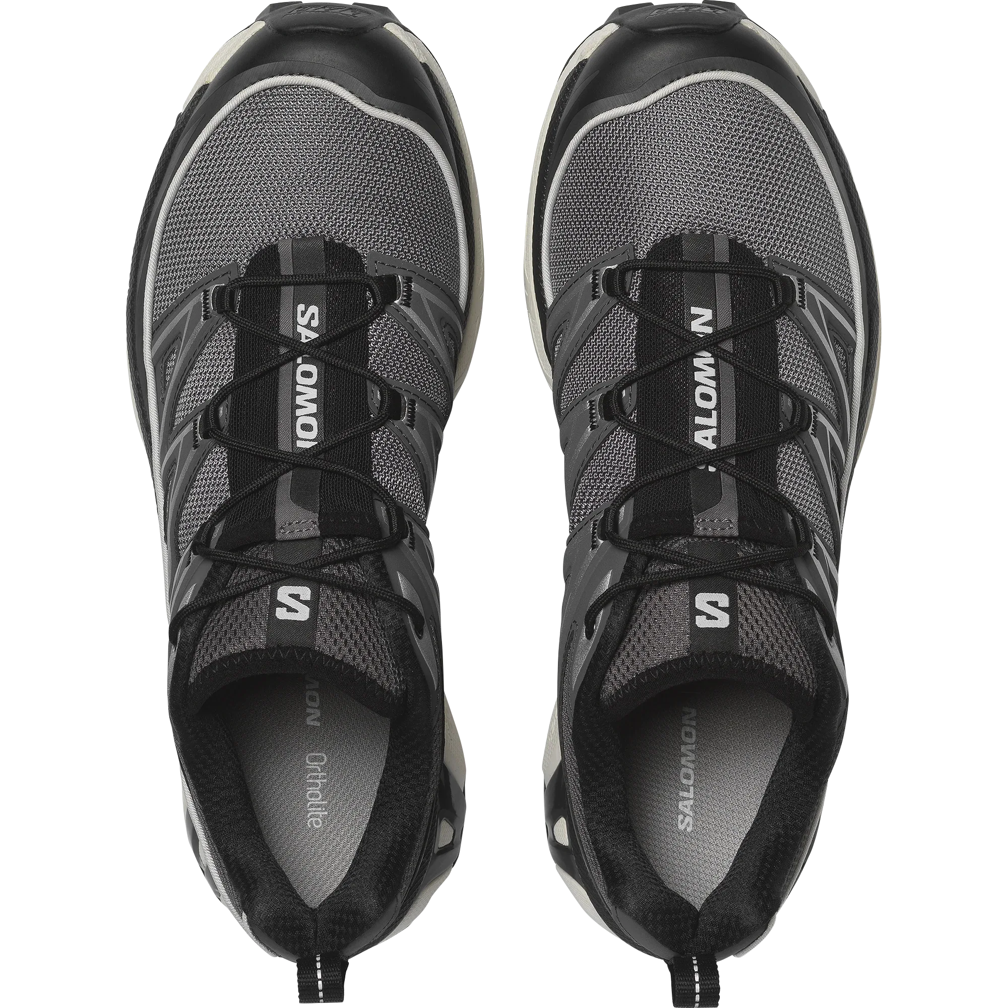 XT-6 EXPANSE - Chillpaw