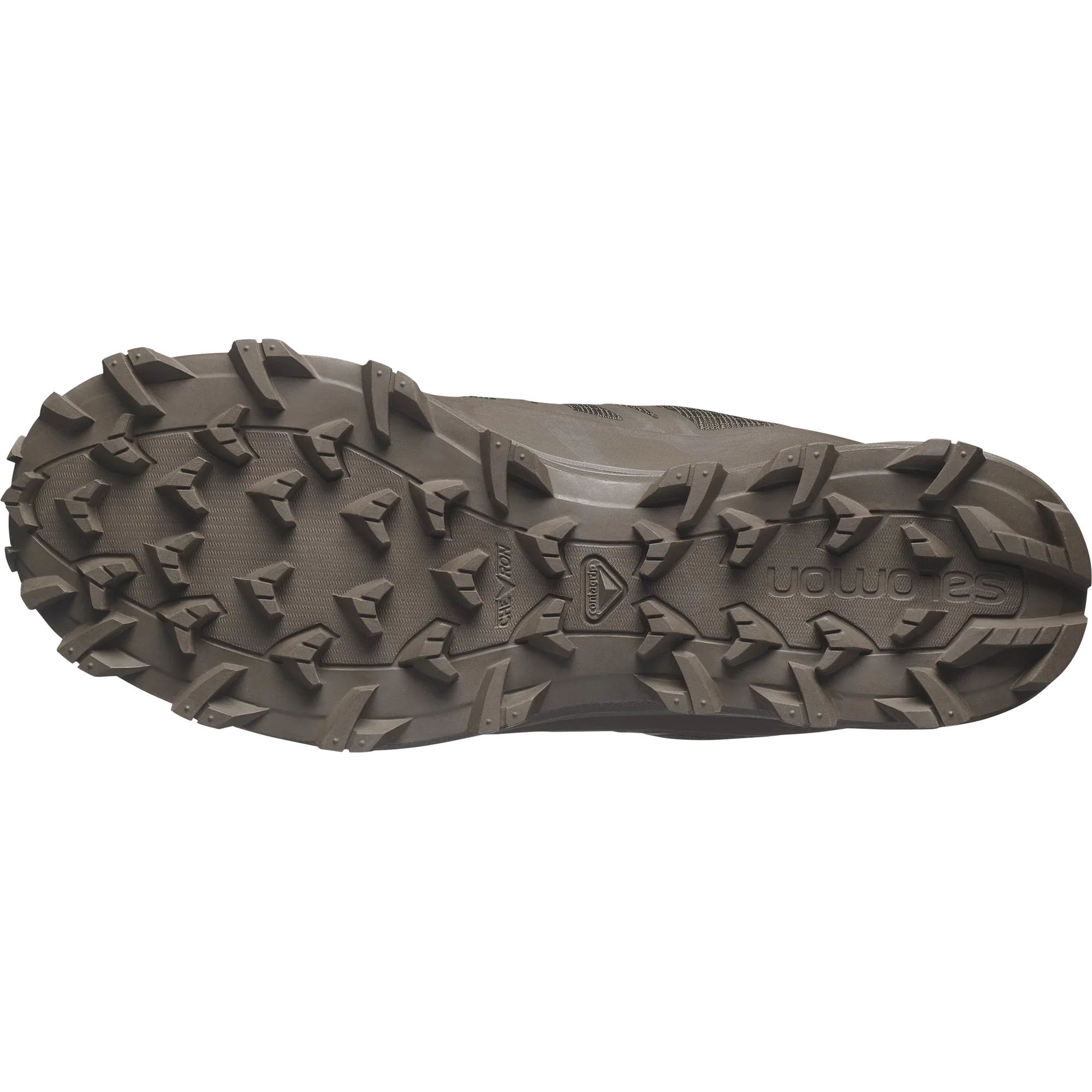 SPEED ASSAULT 2 GORE-TEX - Chillpaw