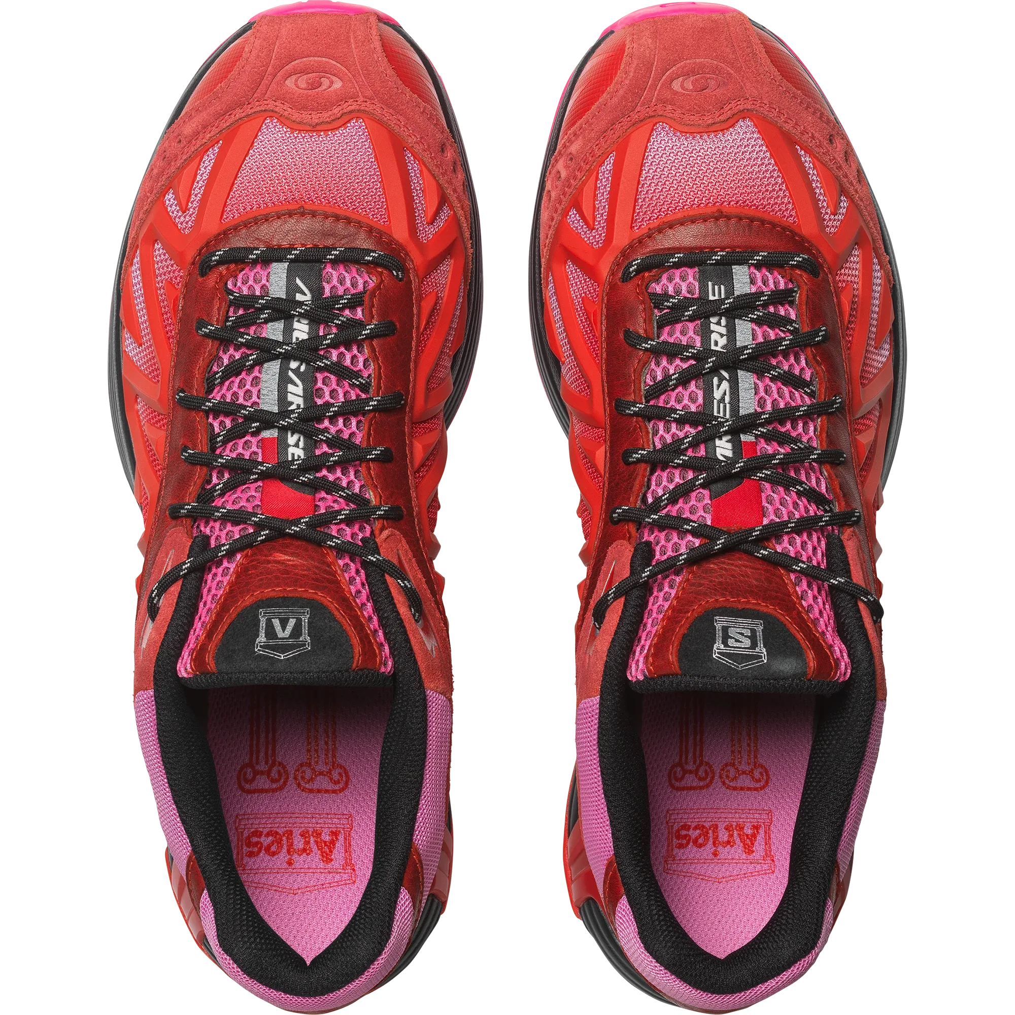 XT WHISPER ARIES - Chillpaw