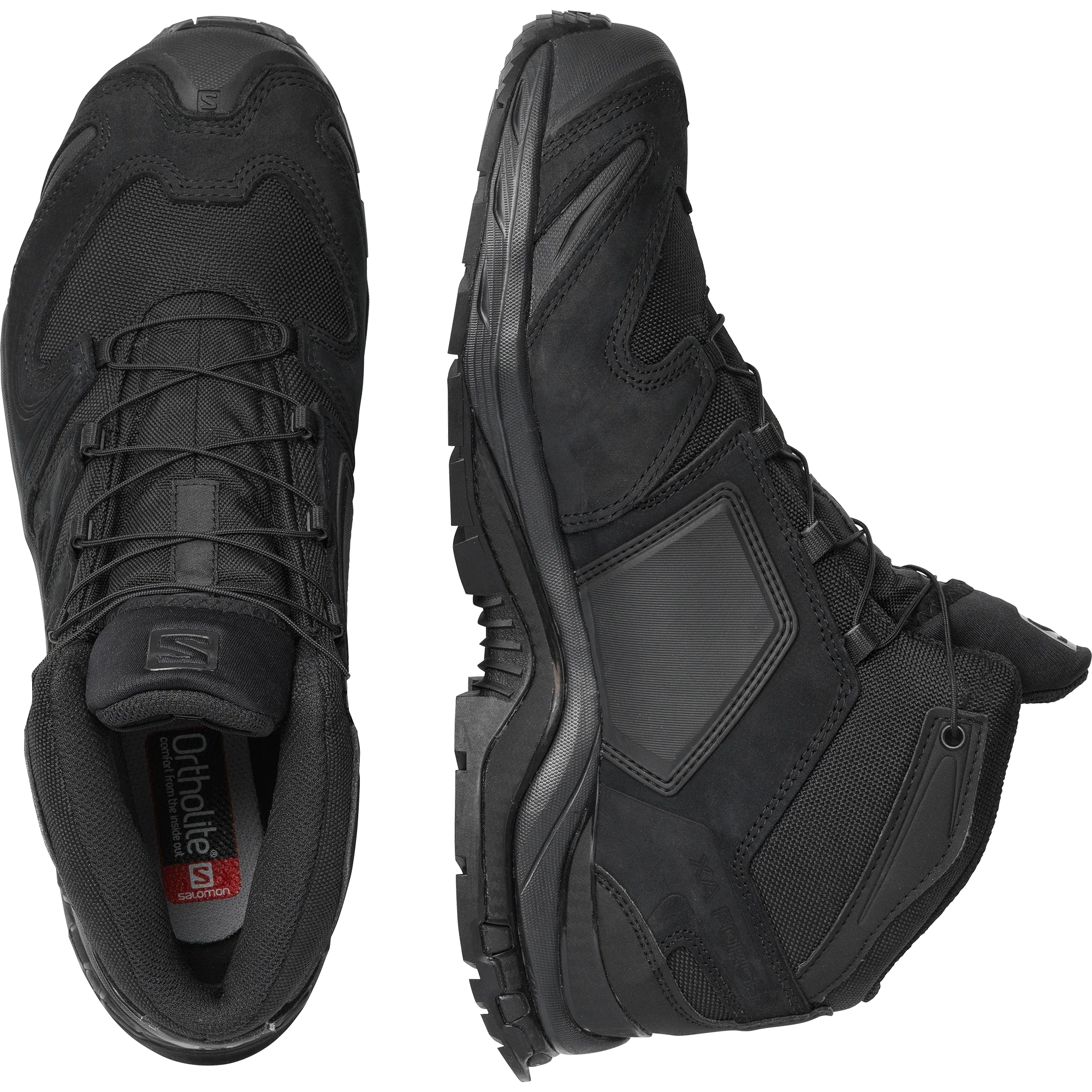 XA FORCES MID EN - Chillpaw