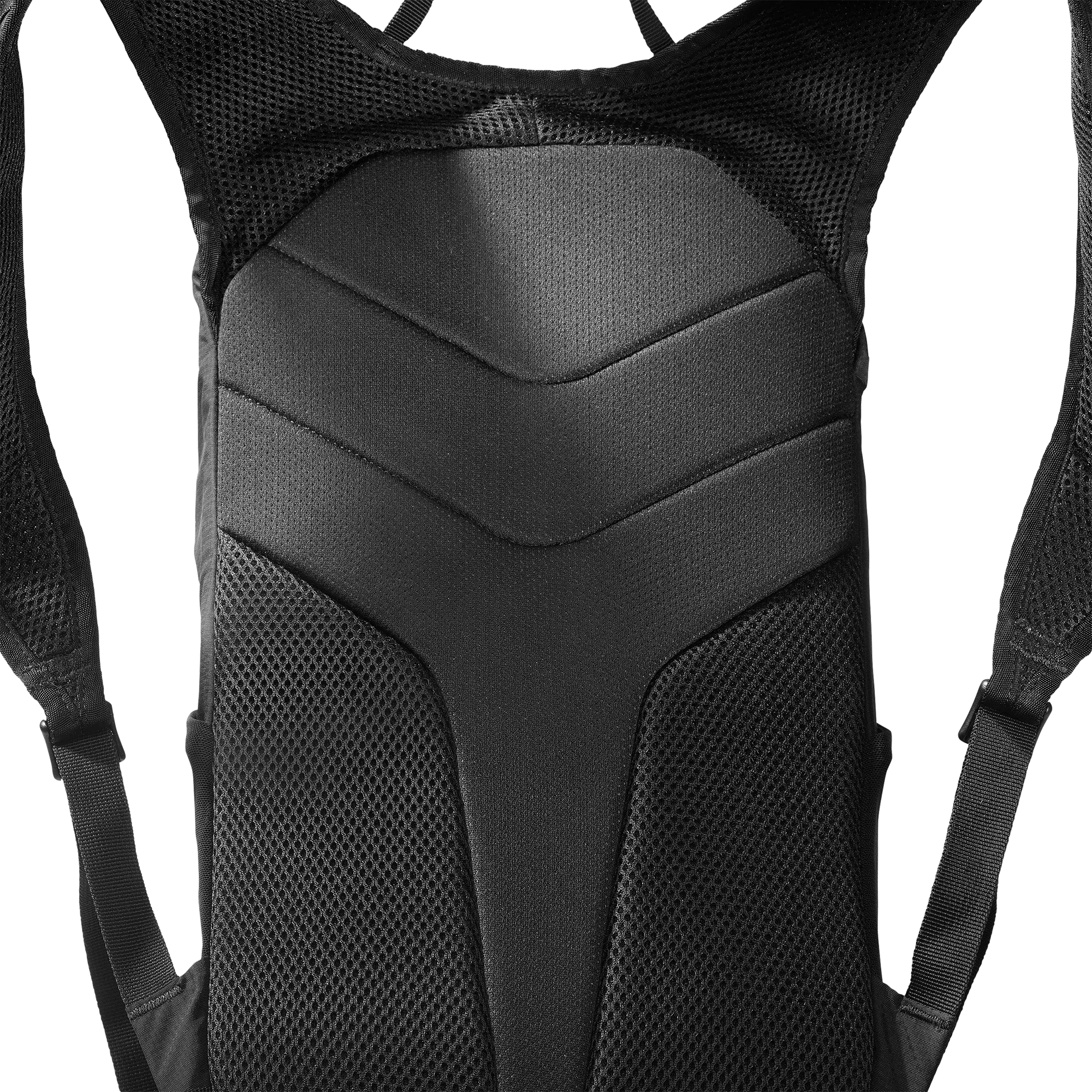 TRAILBLAZER 10 - Chillpaw