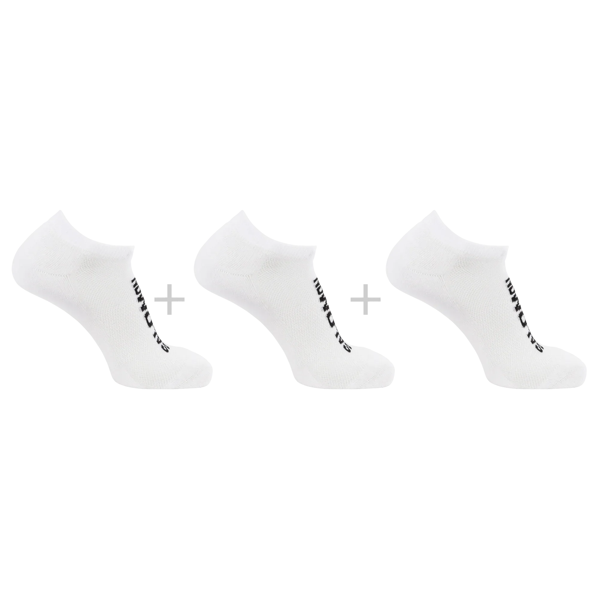 EVERYDAY LOW 3-PACK - Chillpaw