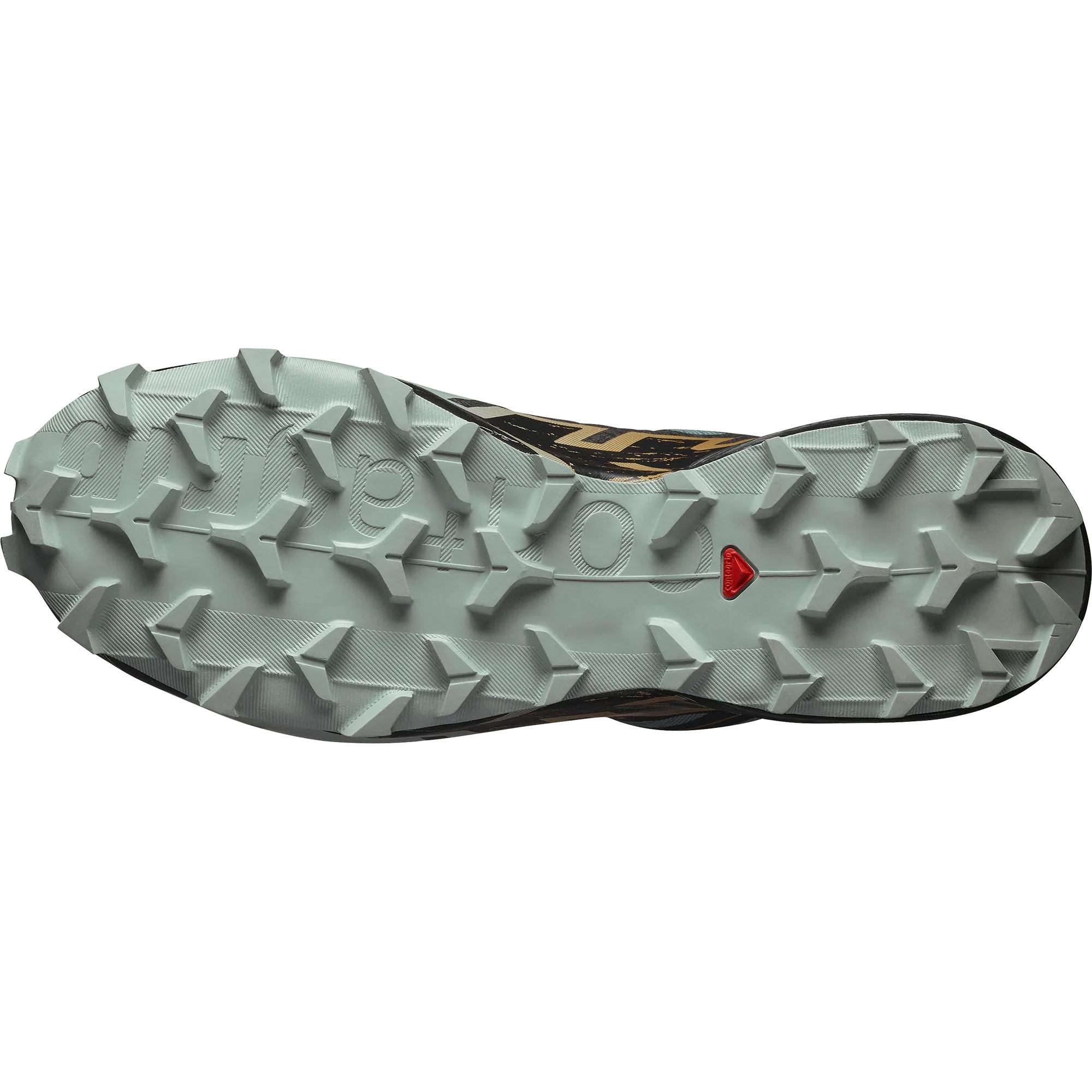 SPEEDCROSS 6 GORE-TEX - Chillpaw