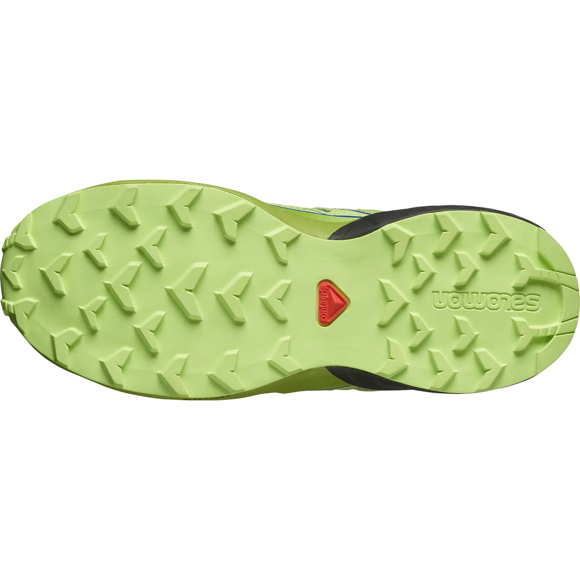 SPEEDCROSS - Chillpaw