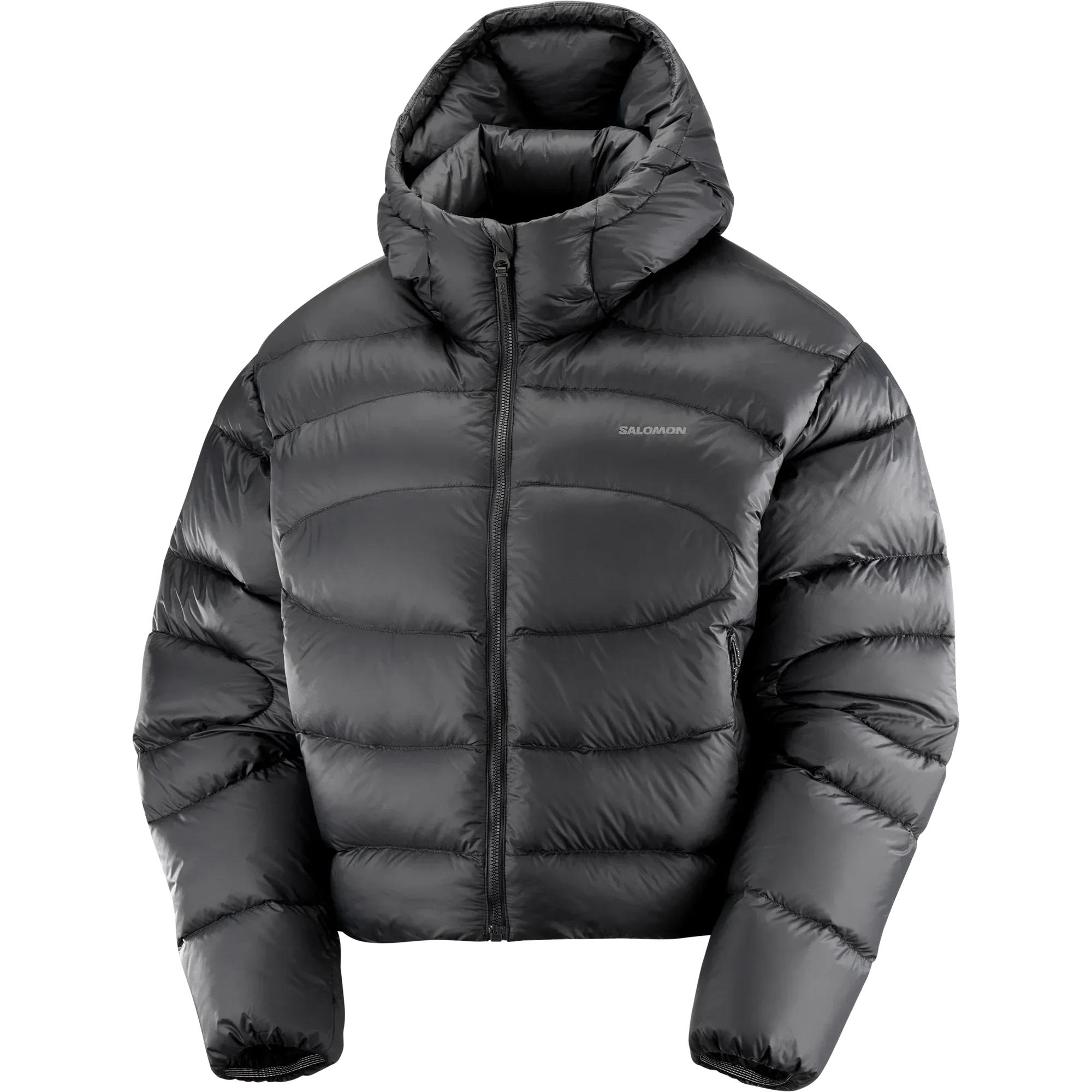 OUTLINE NOVELTY CROPPED DOWN - Chillpaw