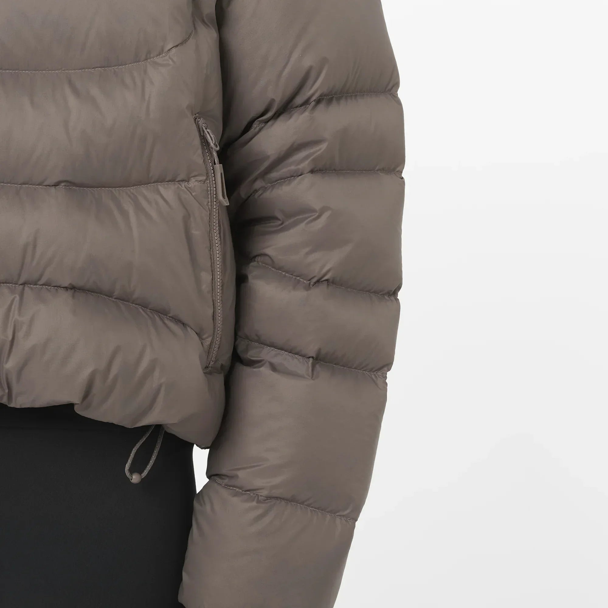 OUTLINE NOVELTY CROPPED DOWN - Chillpaw