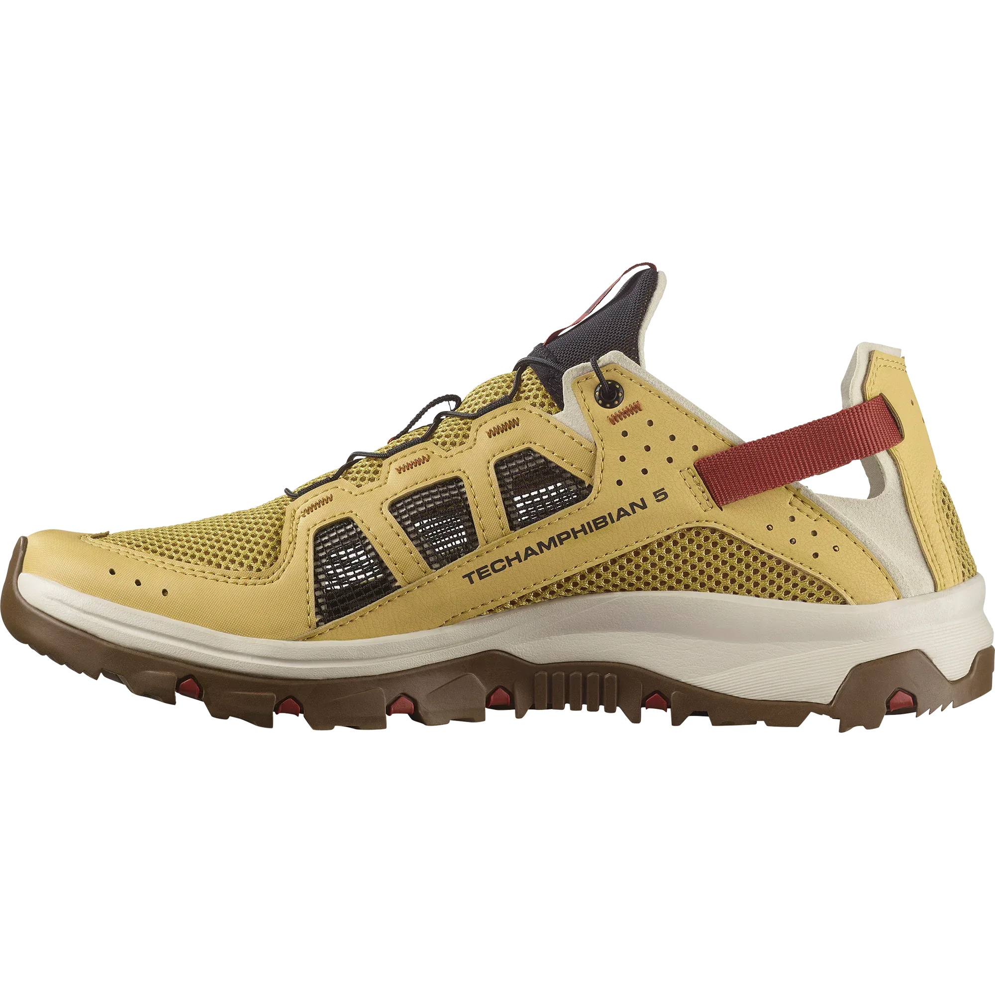 TECHAMPHIBIAN 5 - Chillpaw