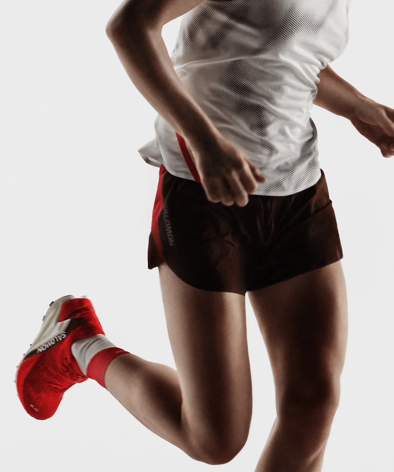 S/LAB PULSAR 4 - Chillpaw