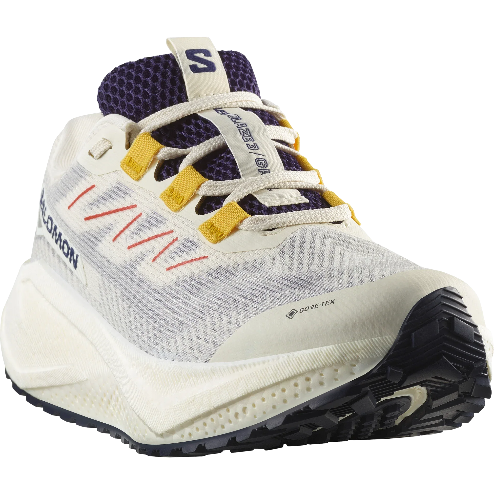 AERO BLAZE 3 GRVL GORE-TEX - Chillpaw