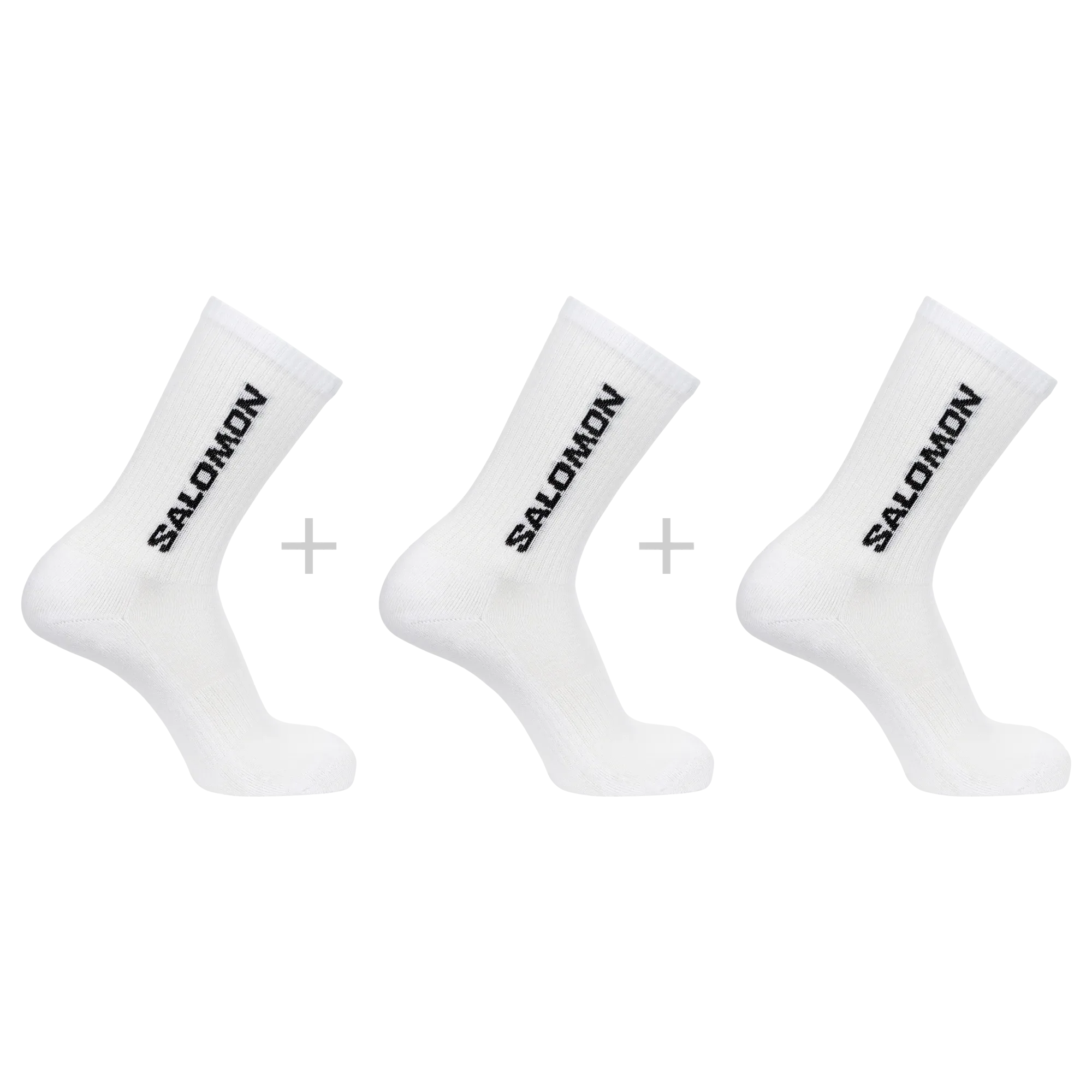 EVERYDAY CREW 3-PACK - Chillpaw