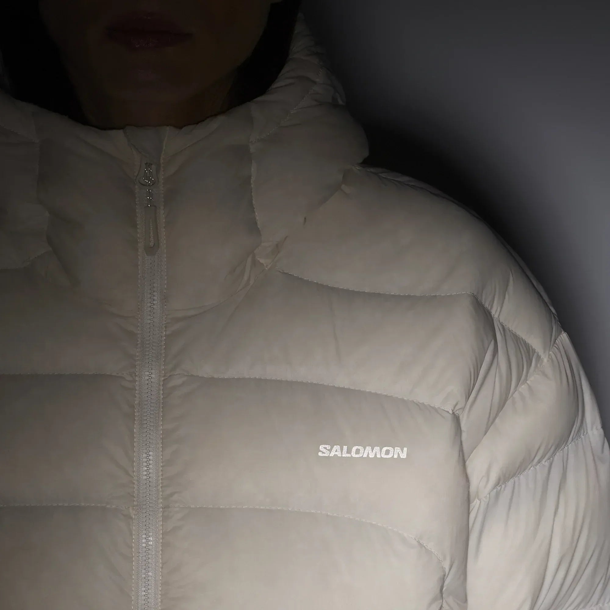 OUTLINE NOVELTY CROPPED DOWN - Chillpaw