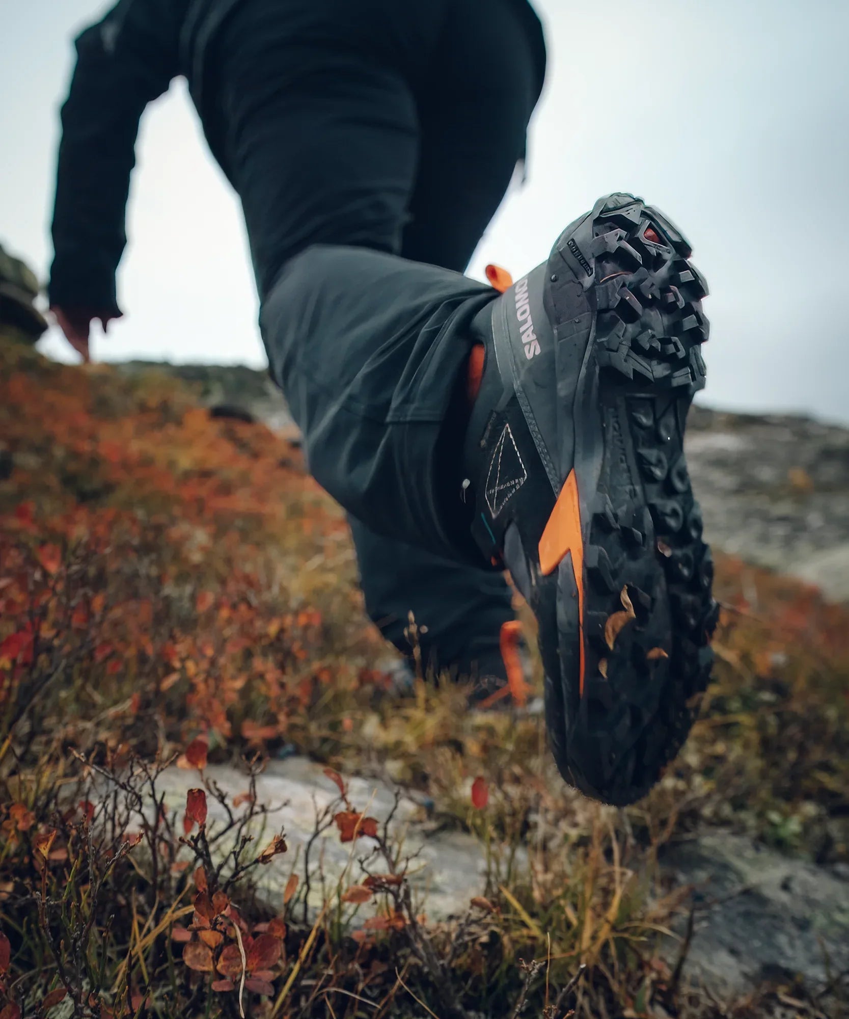 X ULTRA ALPINE GORE-TEX - Chillpaw