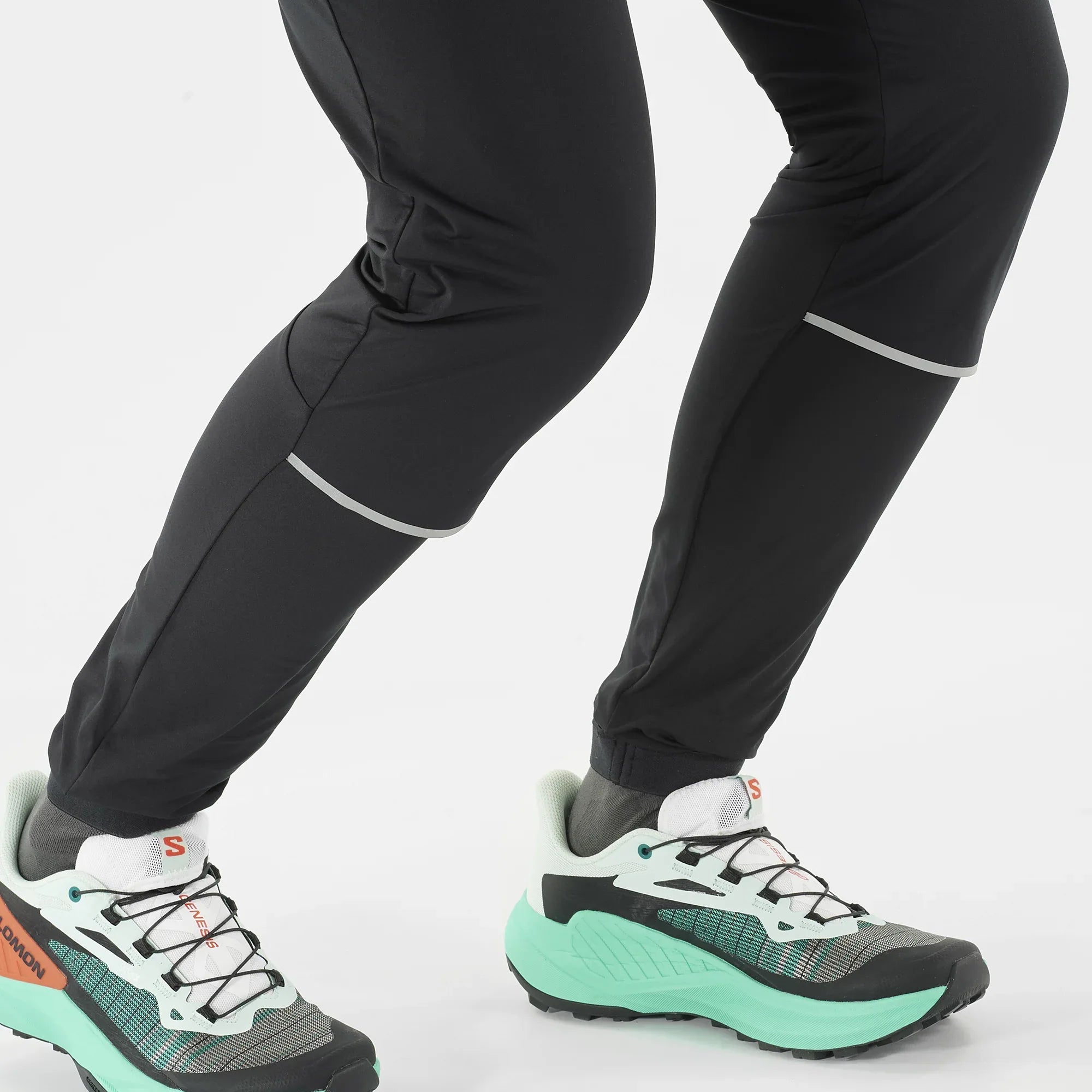 LIGHT SHELL - Chillpaw