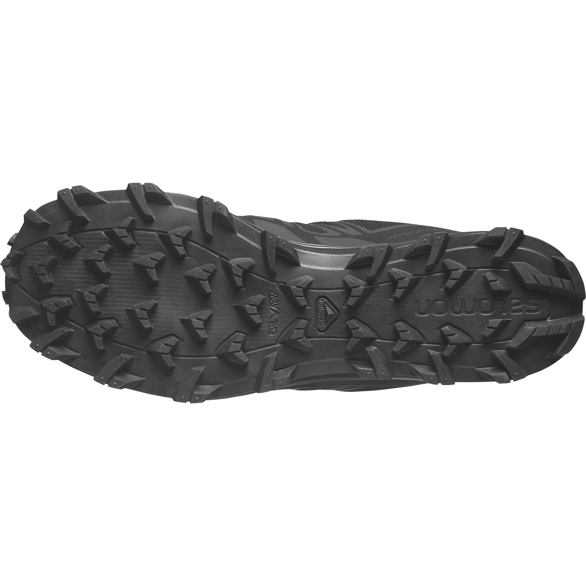 SPEED ASSAULT 2 GORE-TEX - Chillpaw