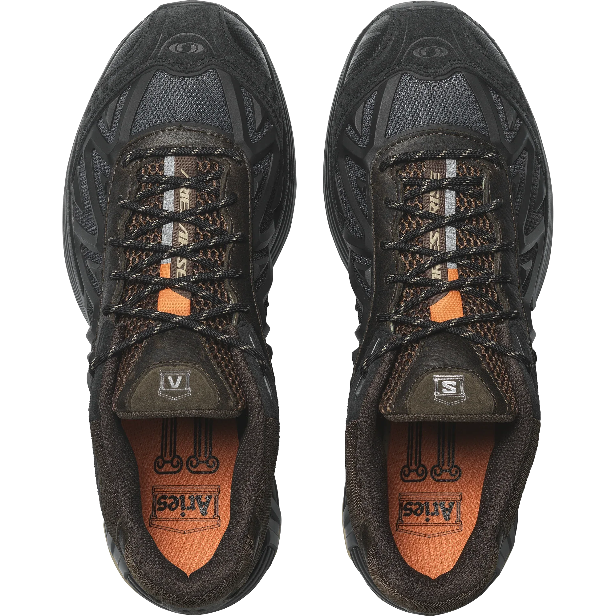 XT WHISPER ARIES - Chillpaw