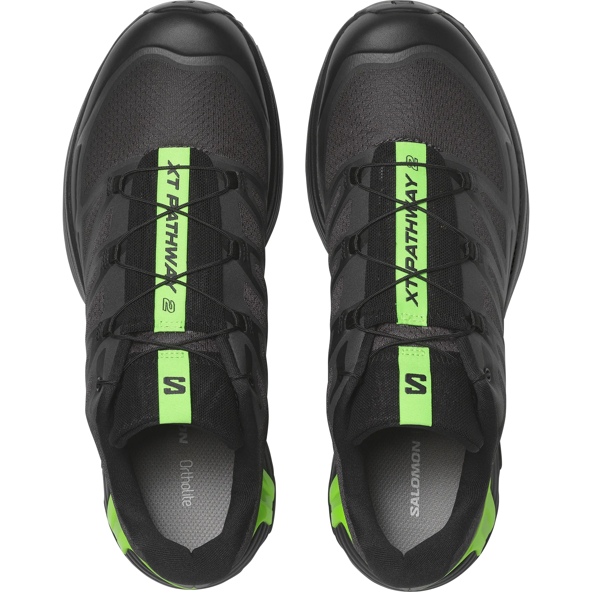 XT-PATHWAY 2 - Chillpaw