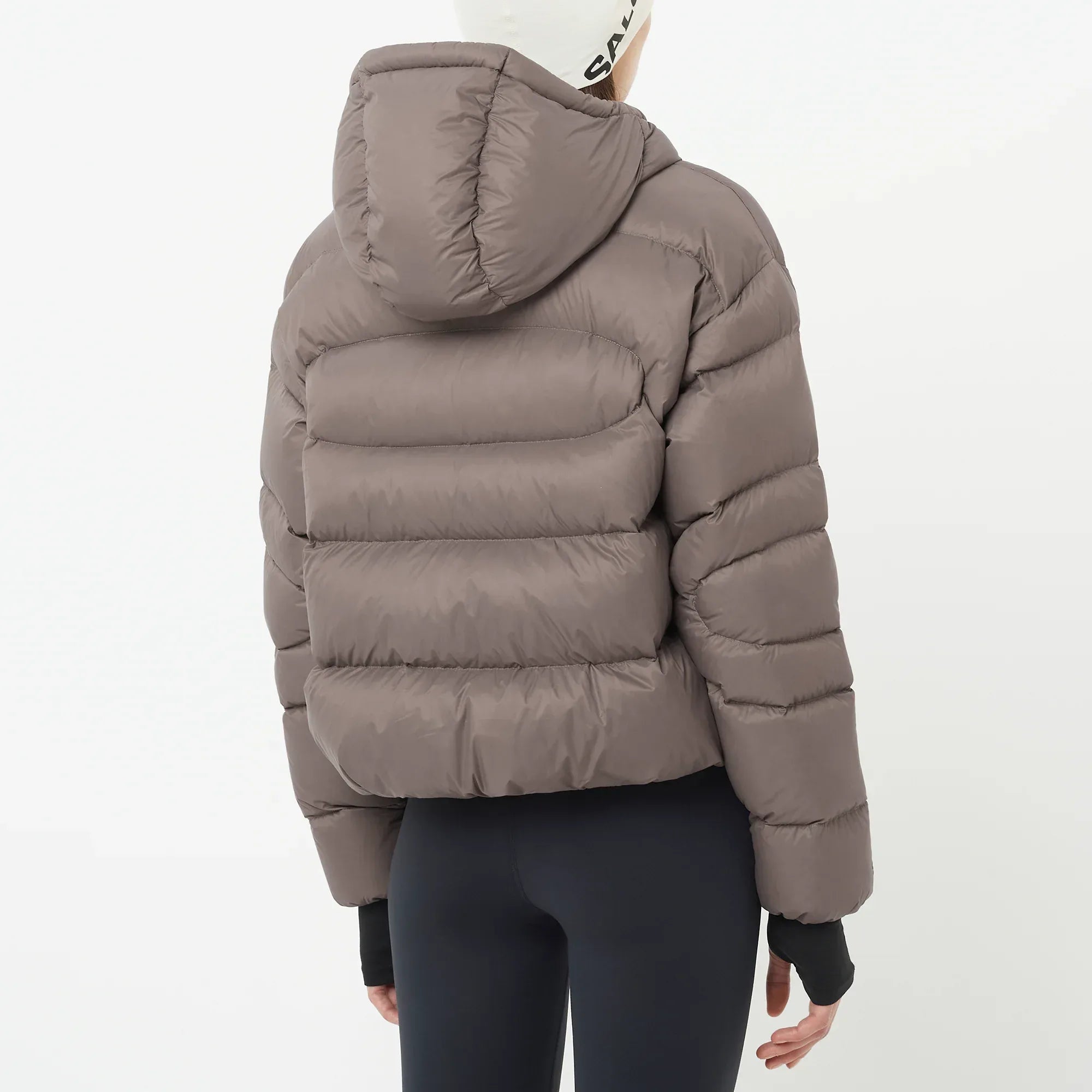 OUTLINE NOVELTY CROPPED DOWN - Chillpaw