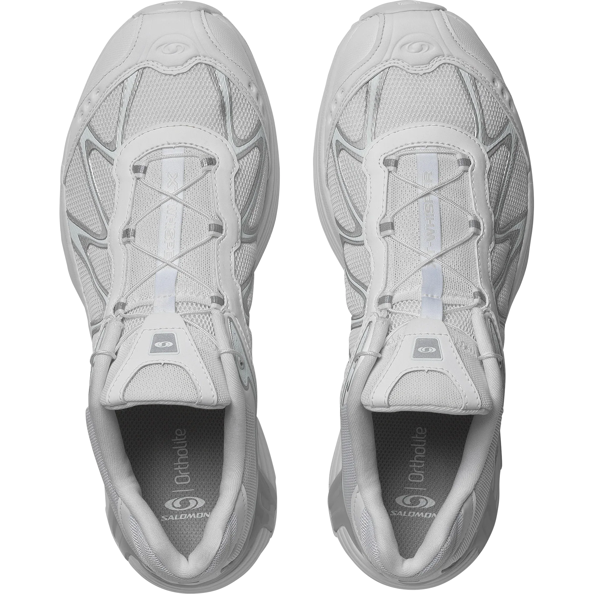 XT-WHISPER - Chillpaw