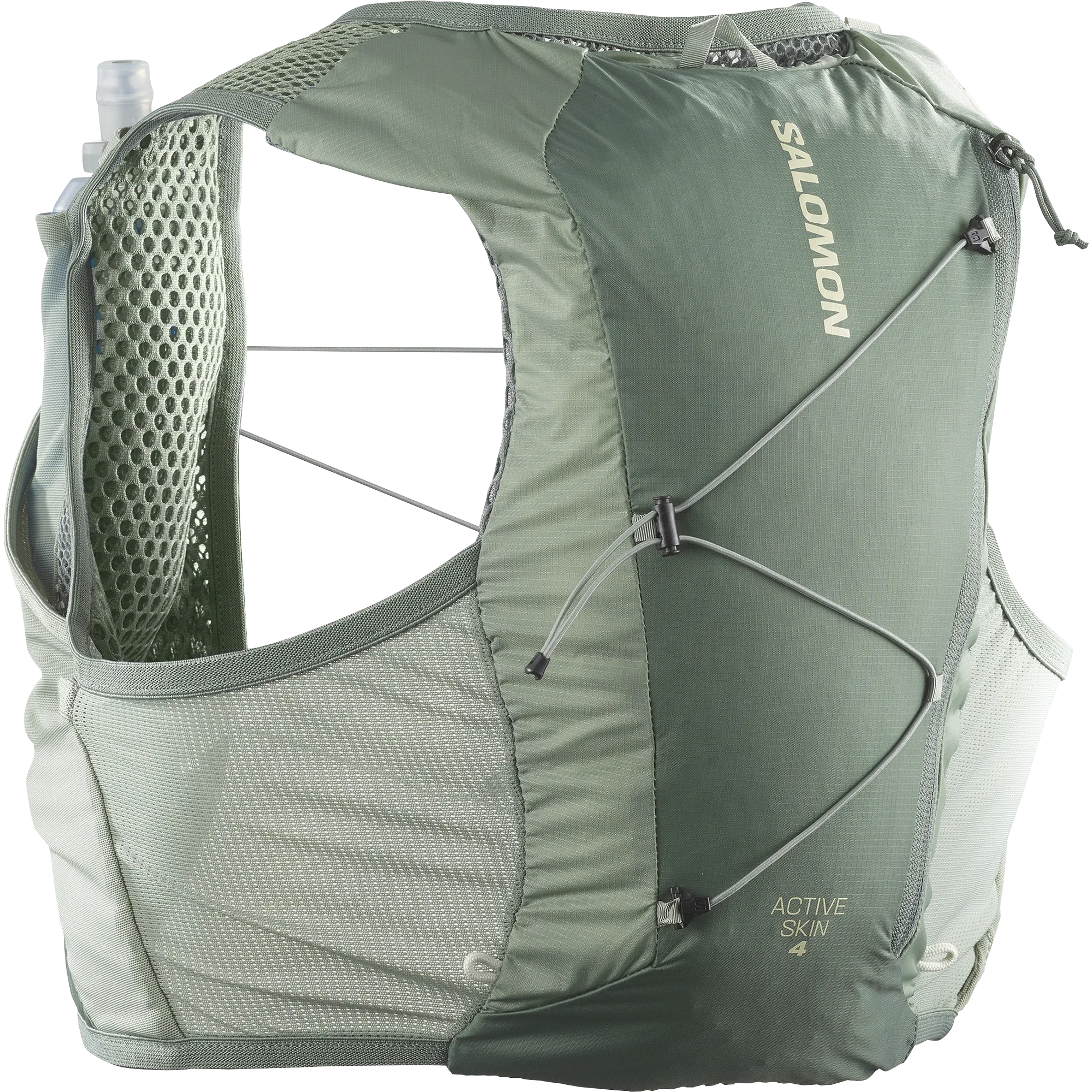 ACTIVE SKIN 4 - Chillpaw