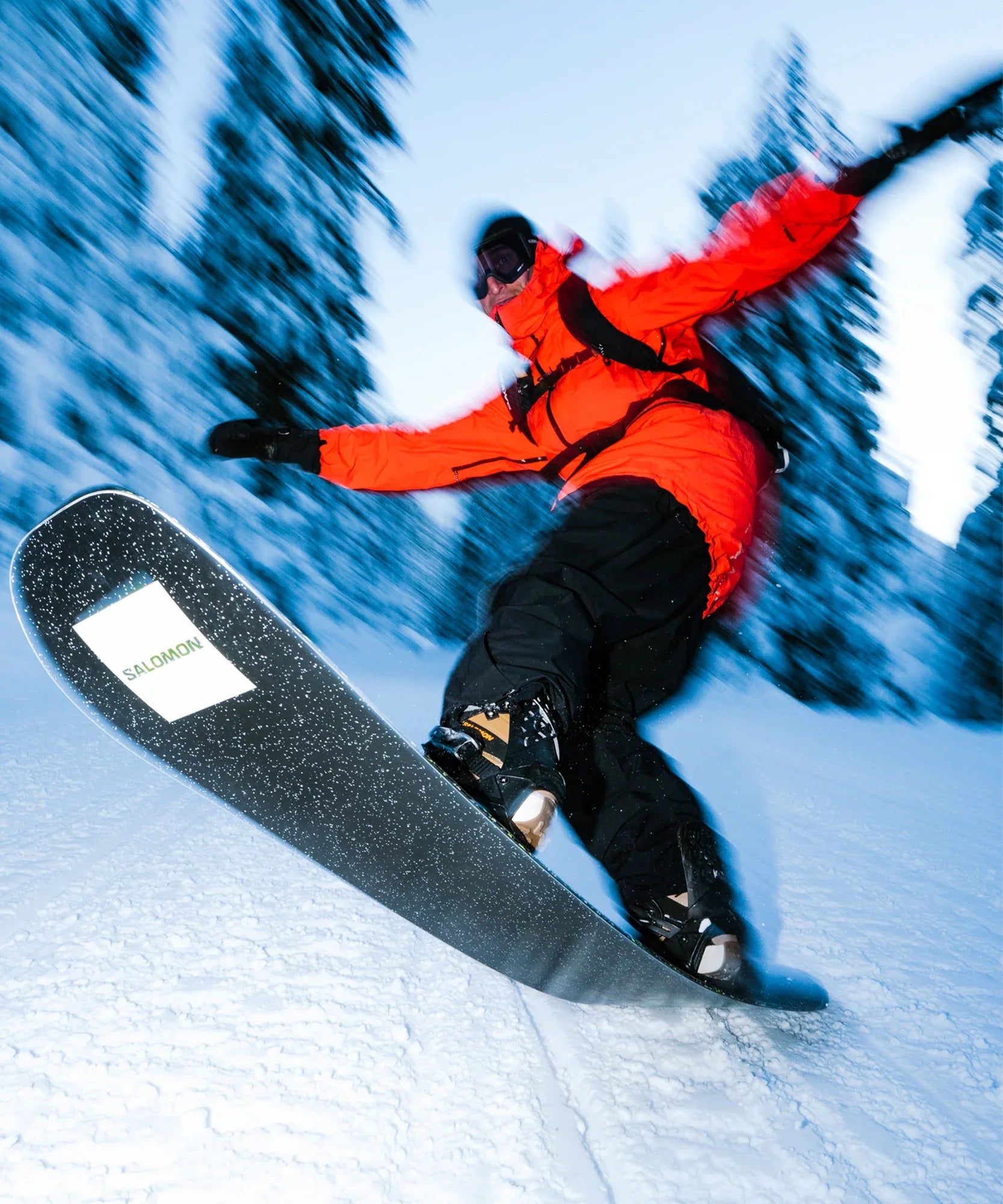 HPS - LOUIF PARADIS - Chillpaw