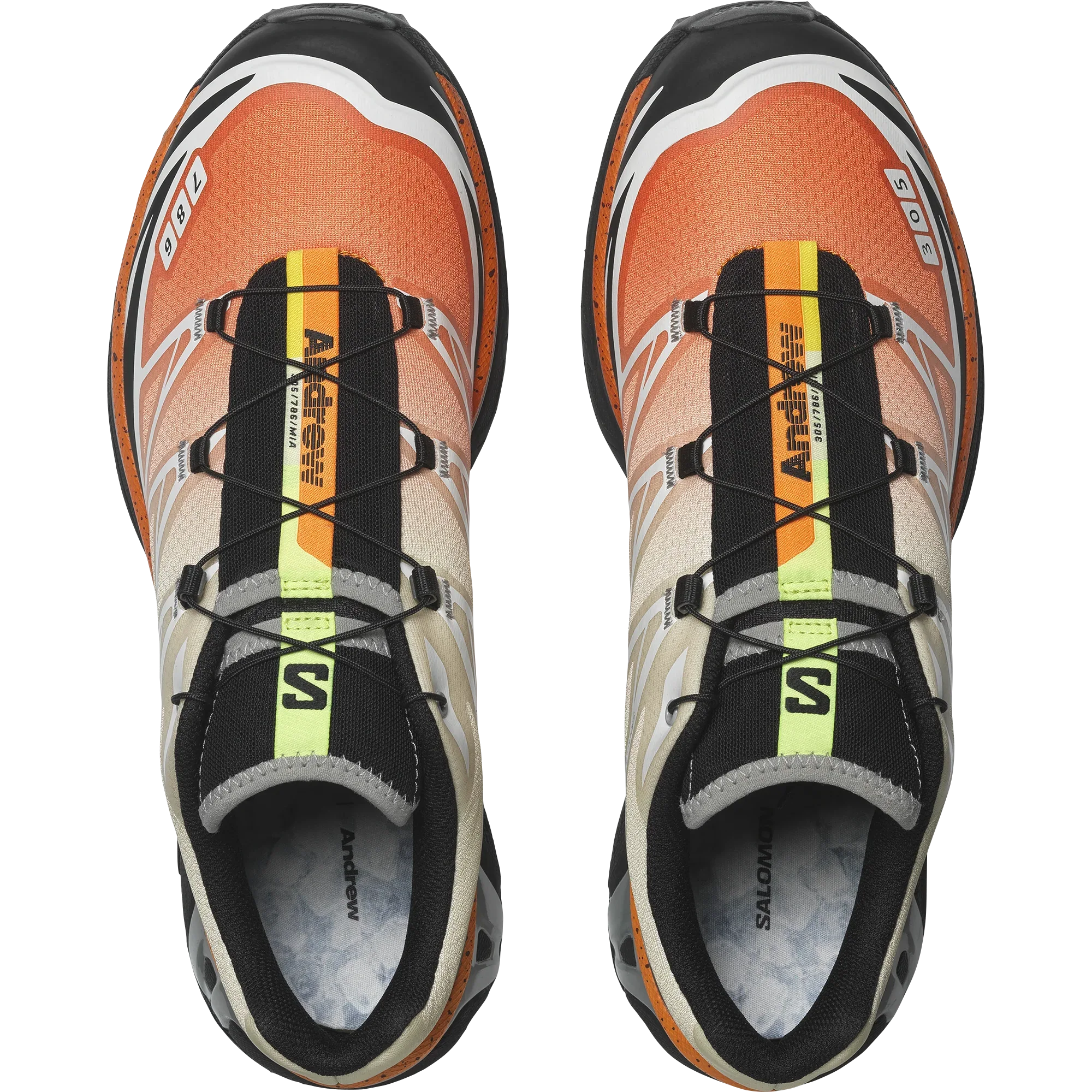 XT-6 ANDREW - Chillpaw