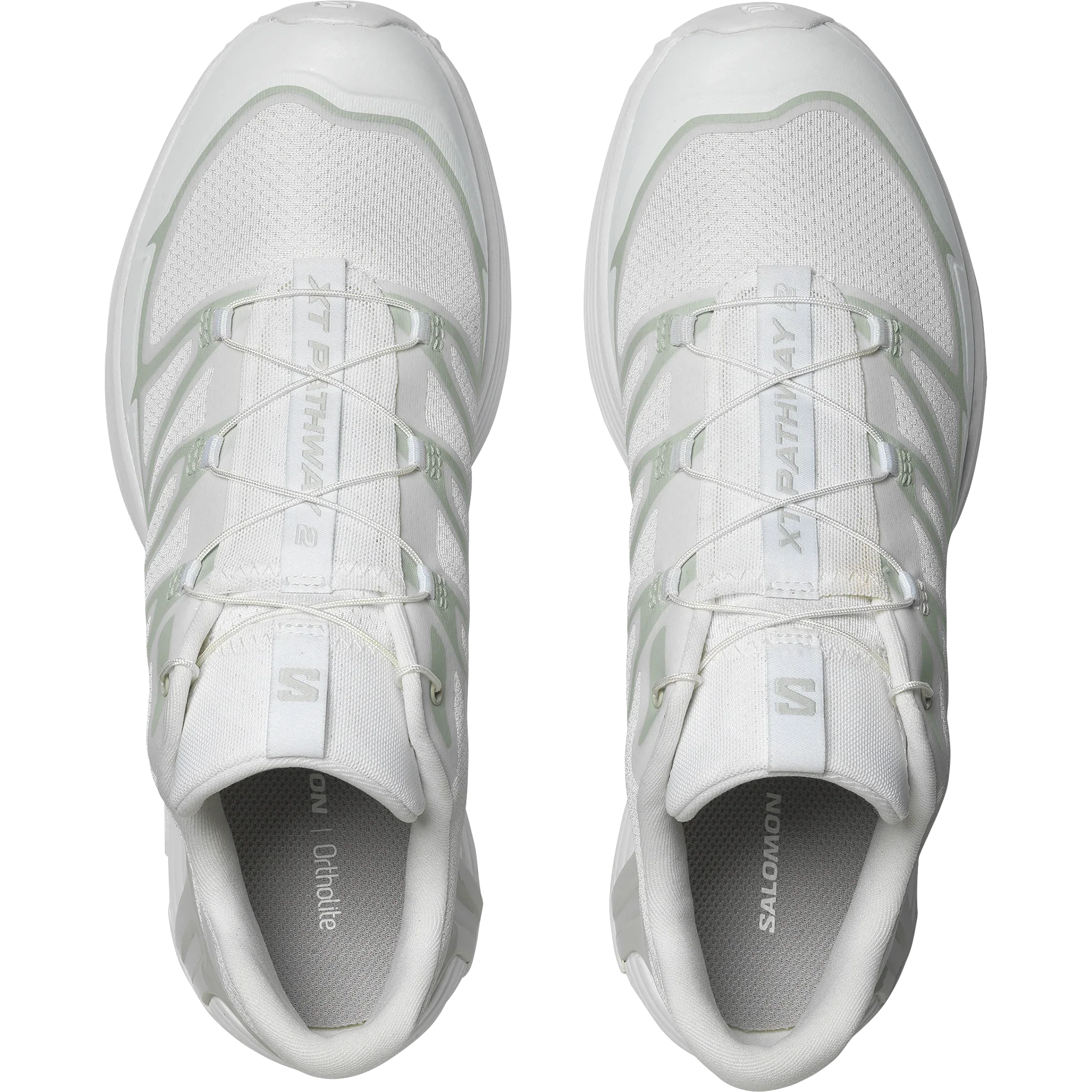 XT-PATHWAY 2 - Chillpaw