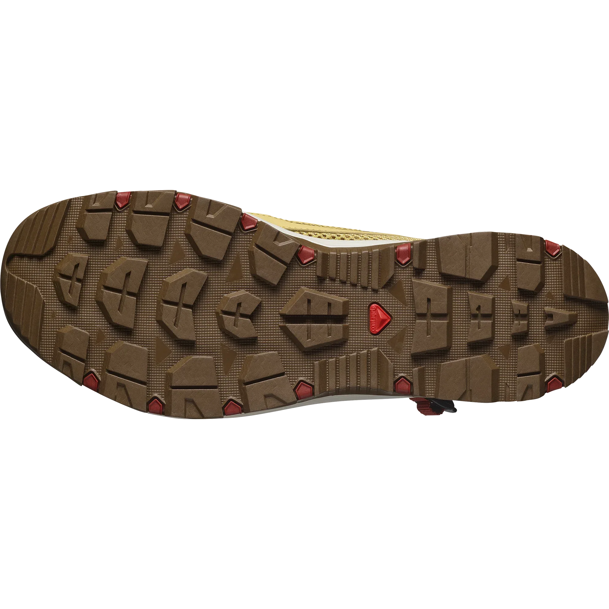 TECHAMPHIBIAN 5 - Chillpaw