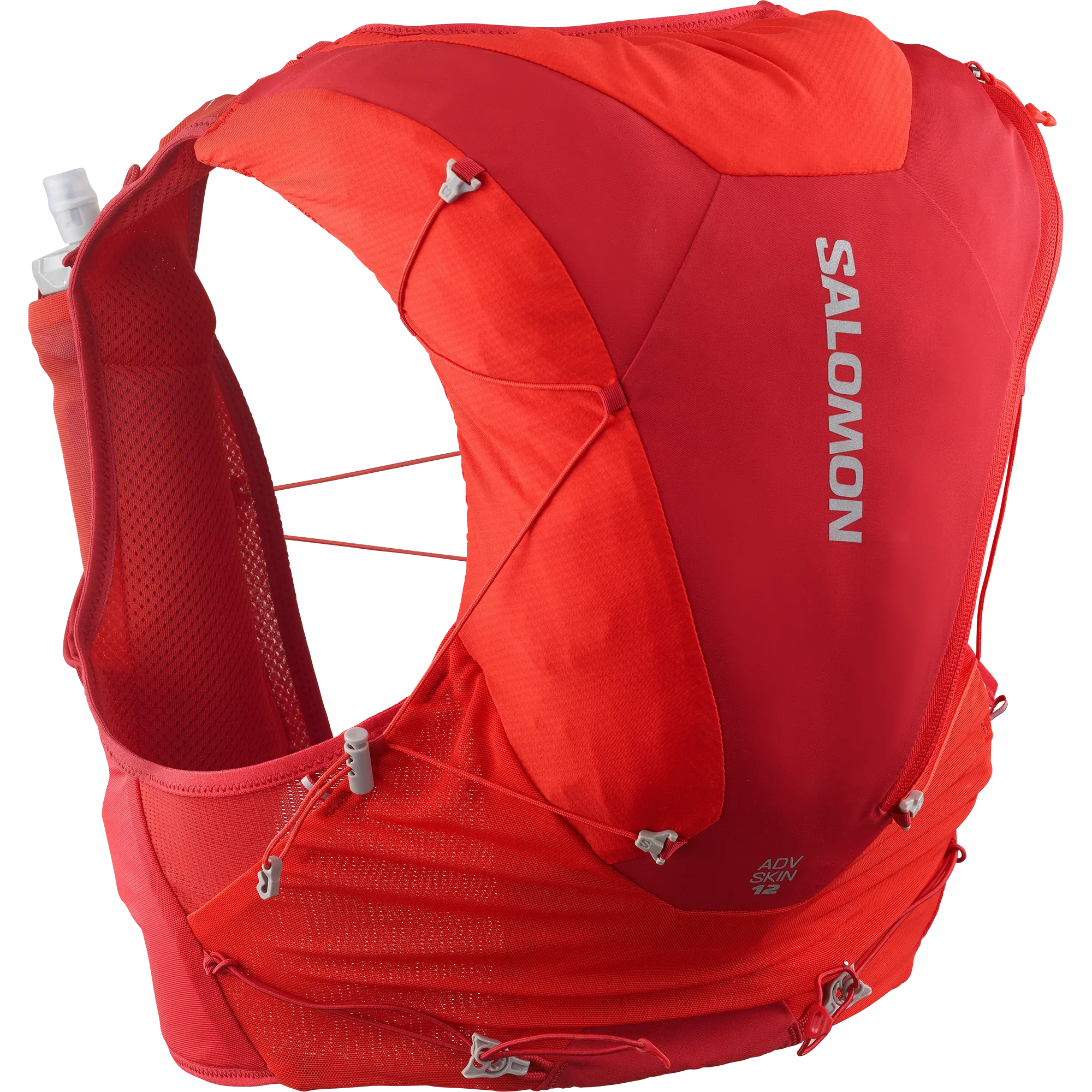 ADV SKIN 12 - Chillpaw