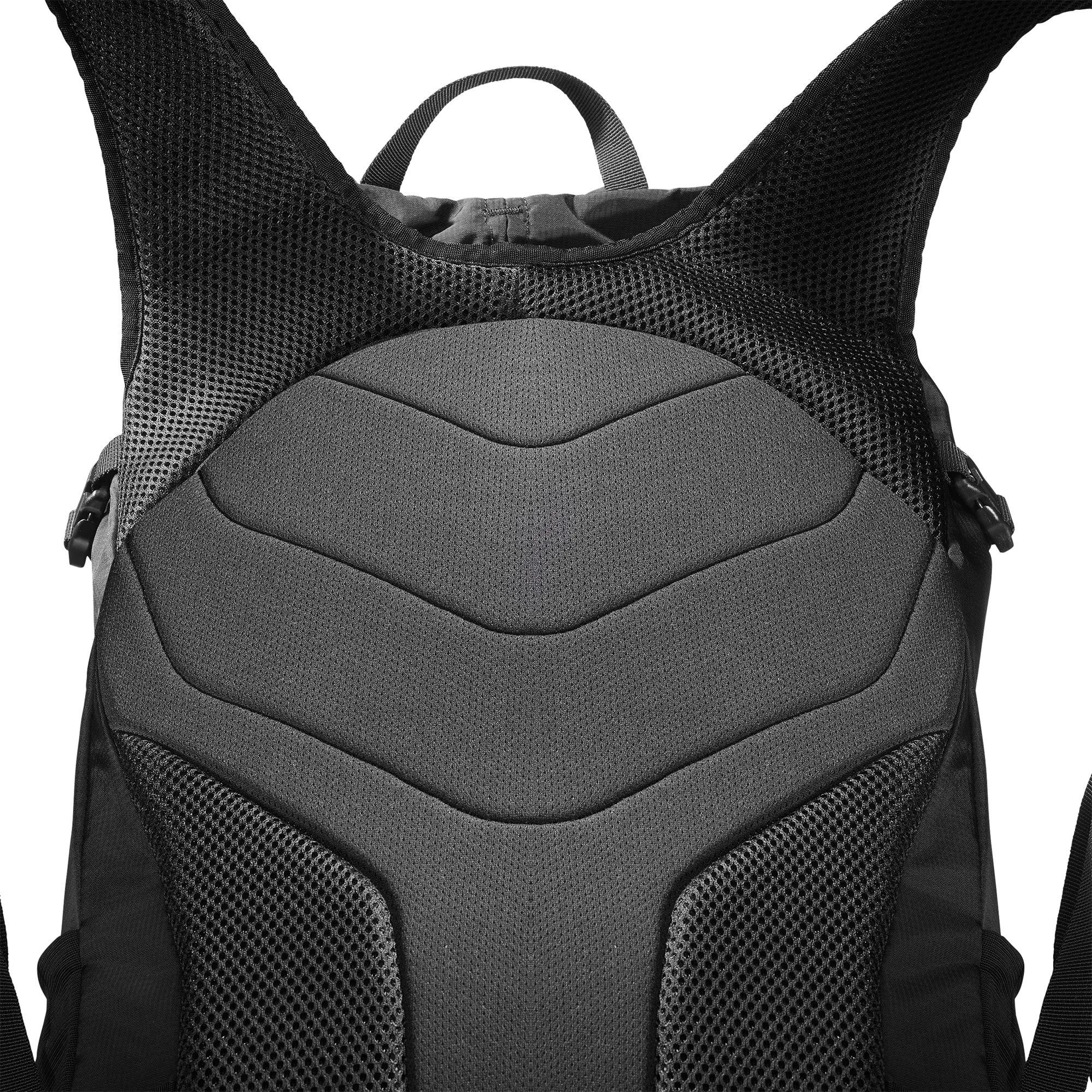 TRAILBLAZER 30 - Chillpaw