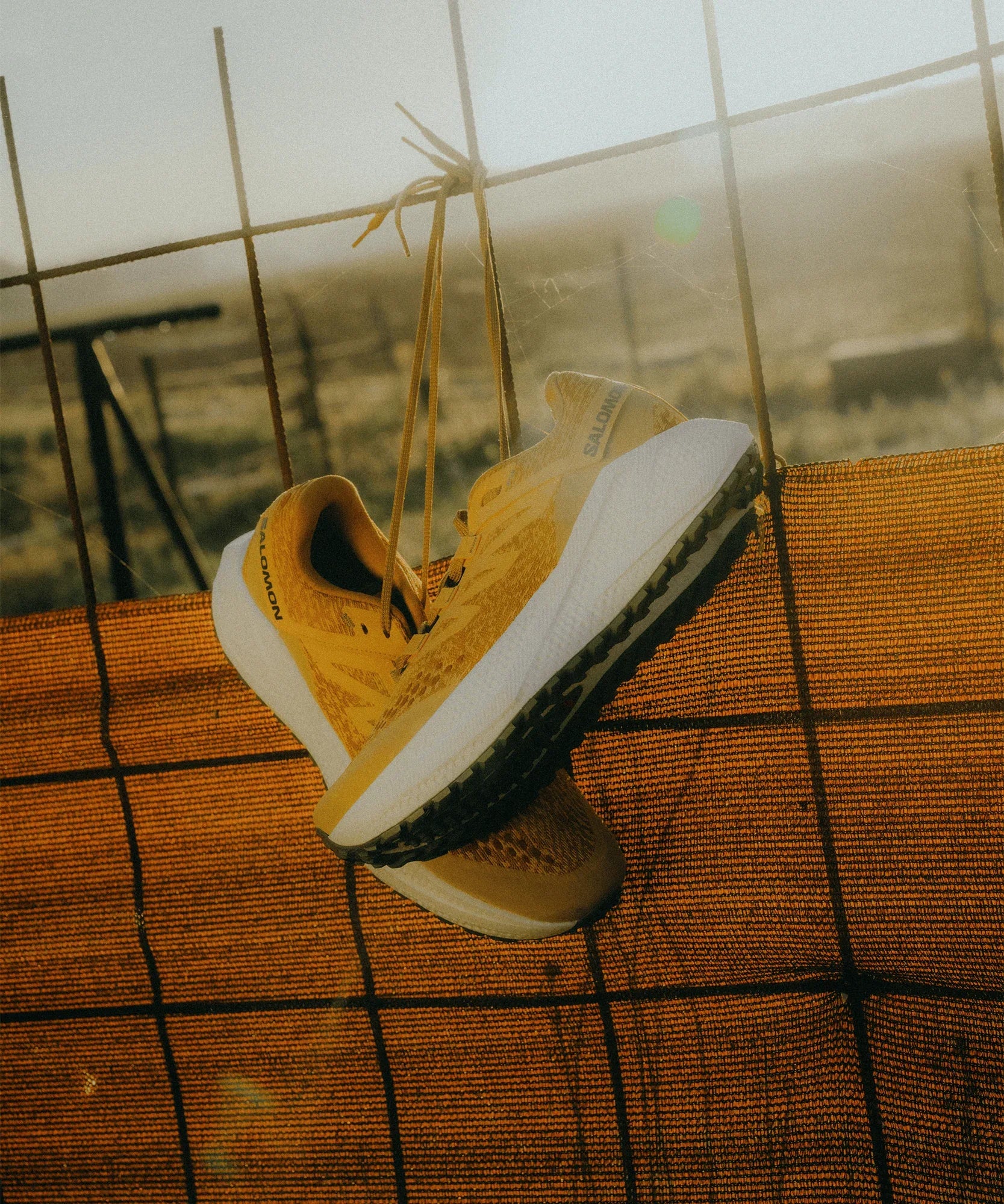 AERO GLIDE 3 GRVL - Chillpaw